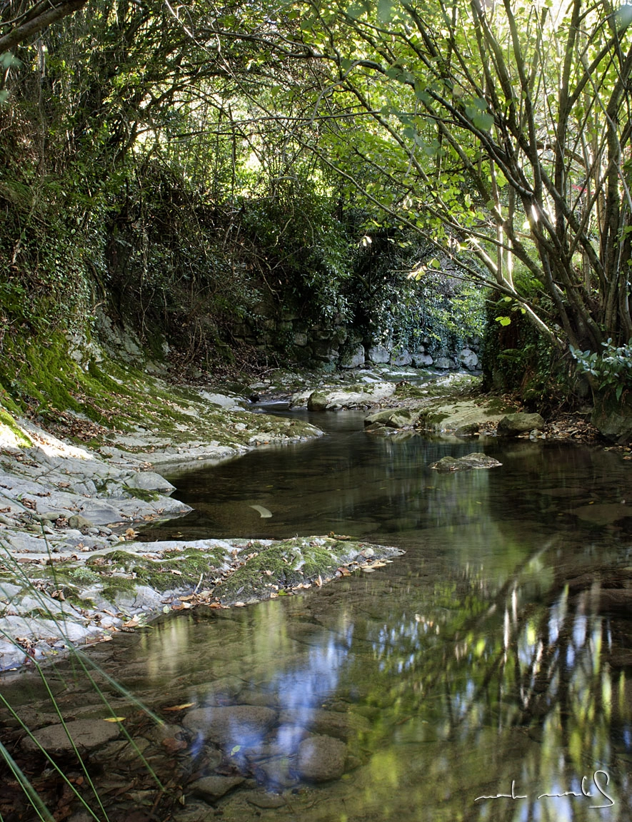 Canon EF 24mm F2.8 sample photo. Rio lea photography