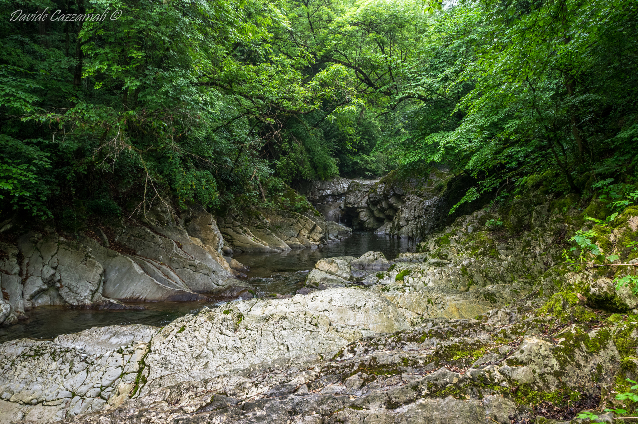 Sigma 8-16mm F4.5-5.6 DC HSM sample photo. Breggia photography