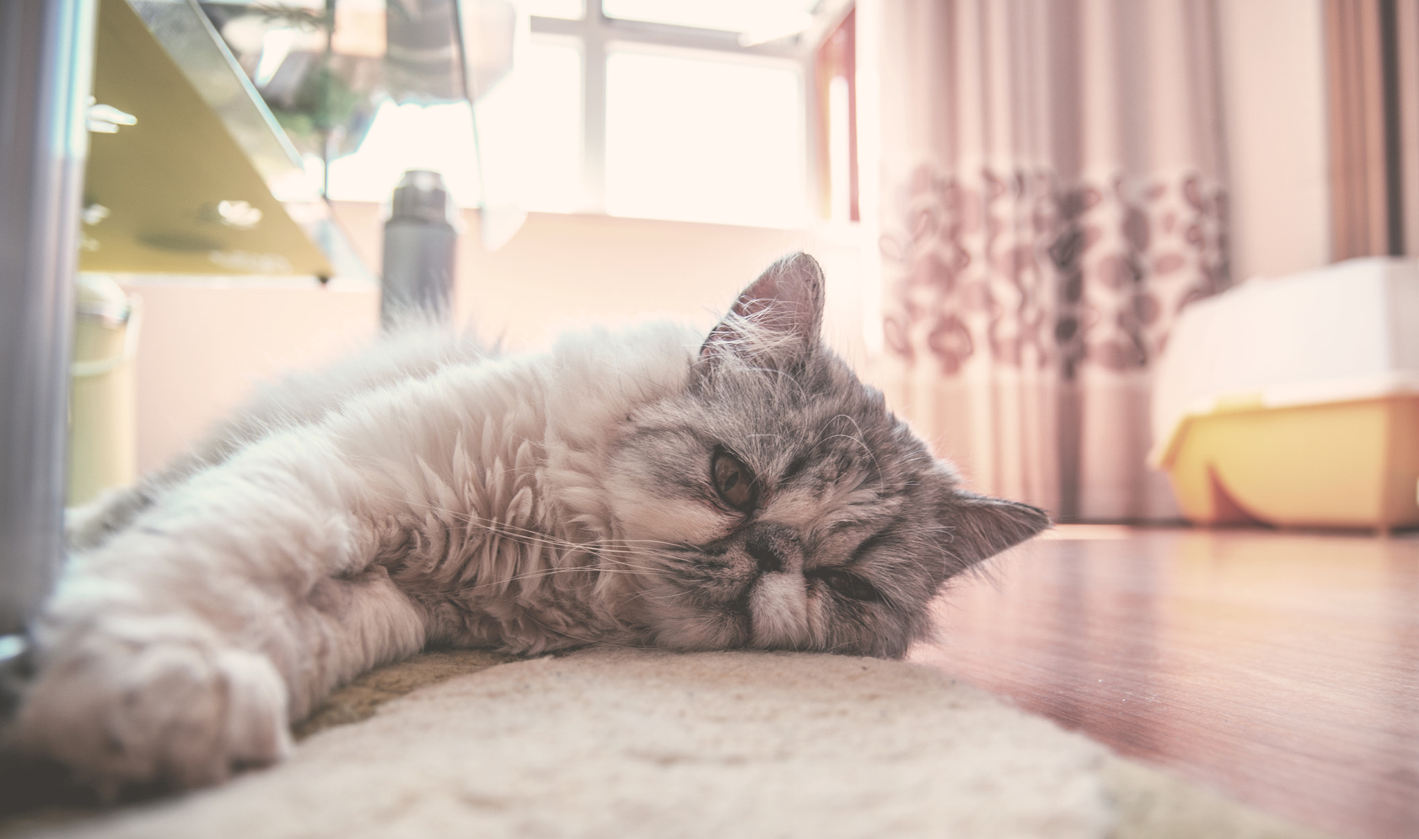 Pentax K-5 II sample photo