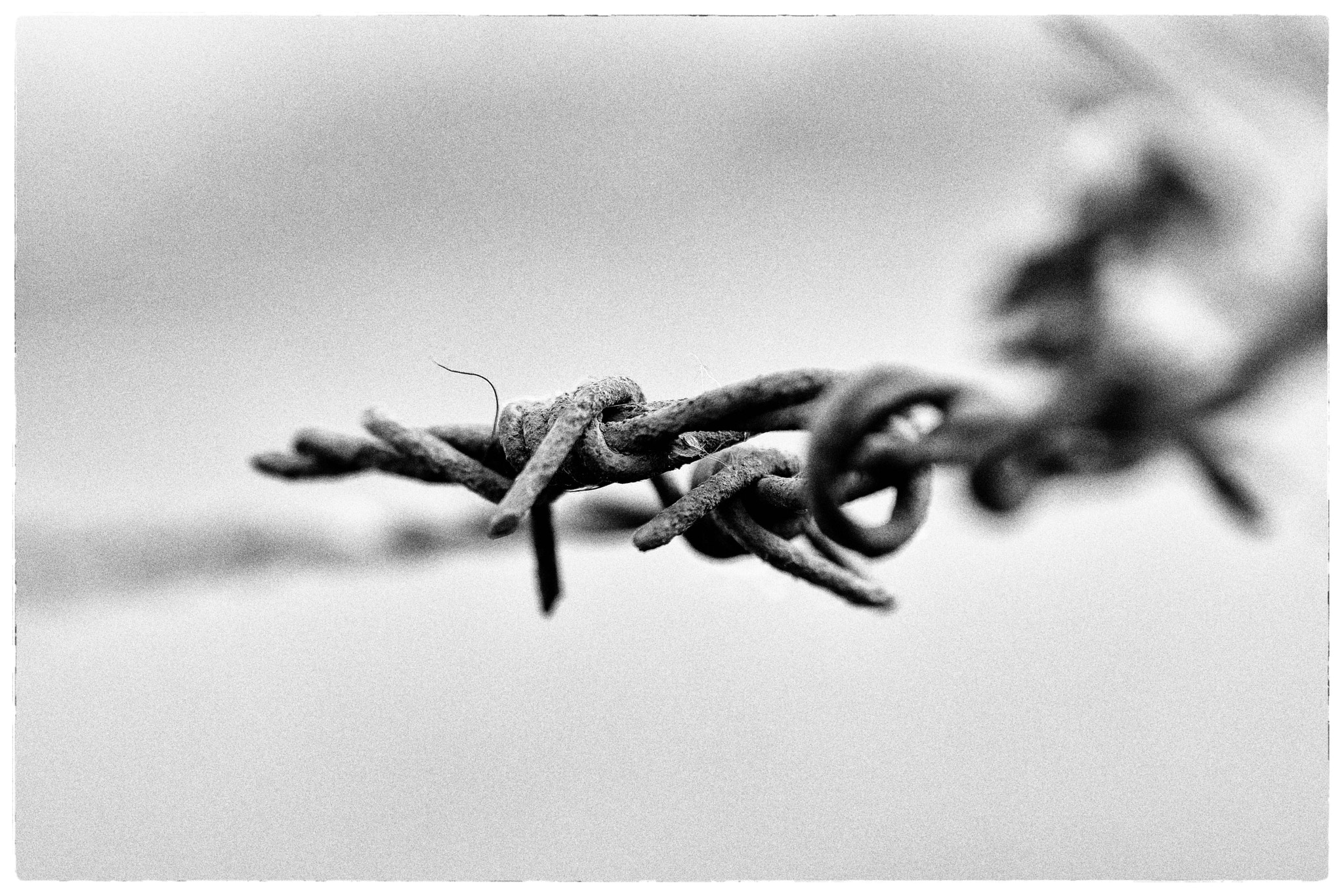 Nikon D7100 + AF Micro-Nikkor 105mm f/2.8 sample photo. It's complicated photography