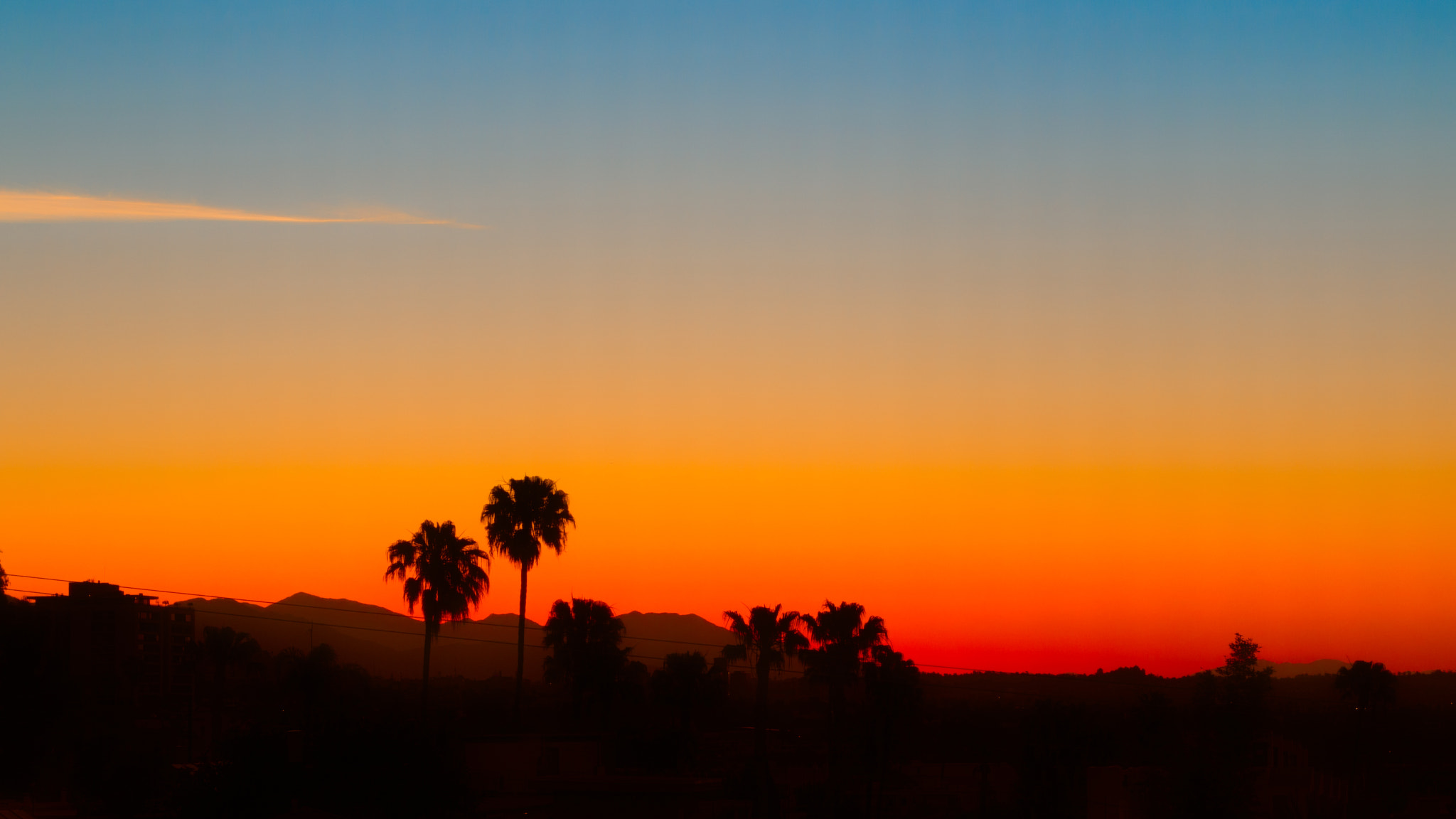 Canon EOS M3 + Canon EF 50mm F1.8 STM sample photo. Good morning, la! photography