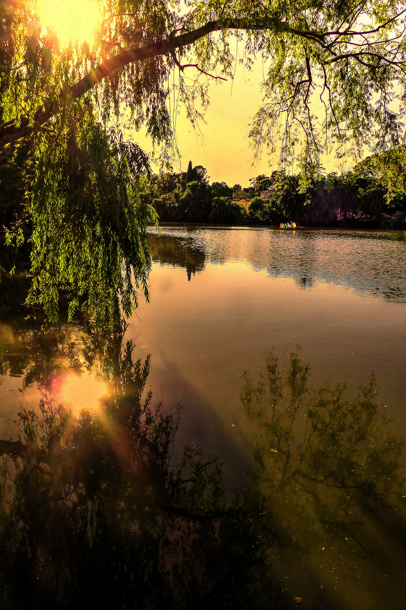 Panasonic Lumix DMC-ZS20 (Lumix DMC-TZ30) sample photo. Lago del bosque, la plata photography