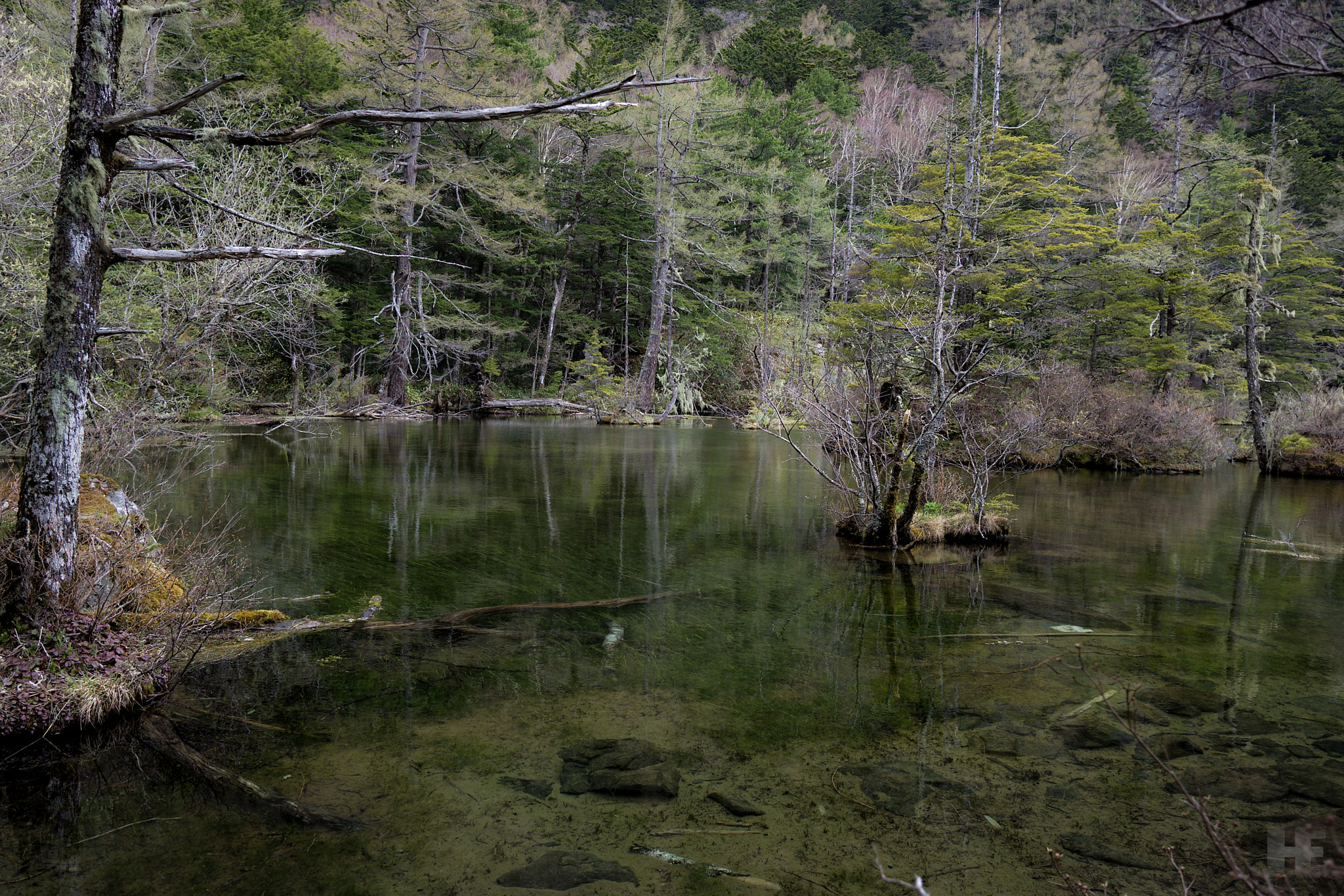 Sony Alpha NEX-7 + Sigma 19mm F2.8 EX DN sample photo. Myojin pond photography