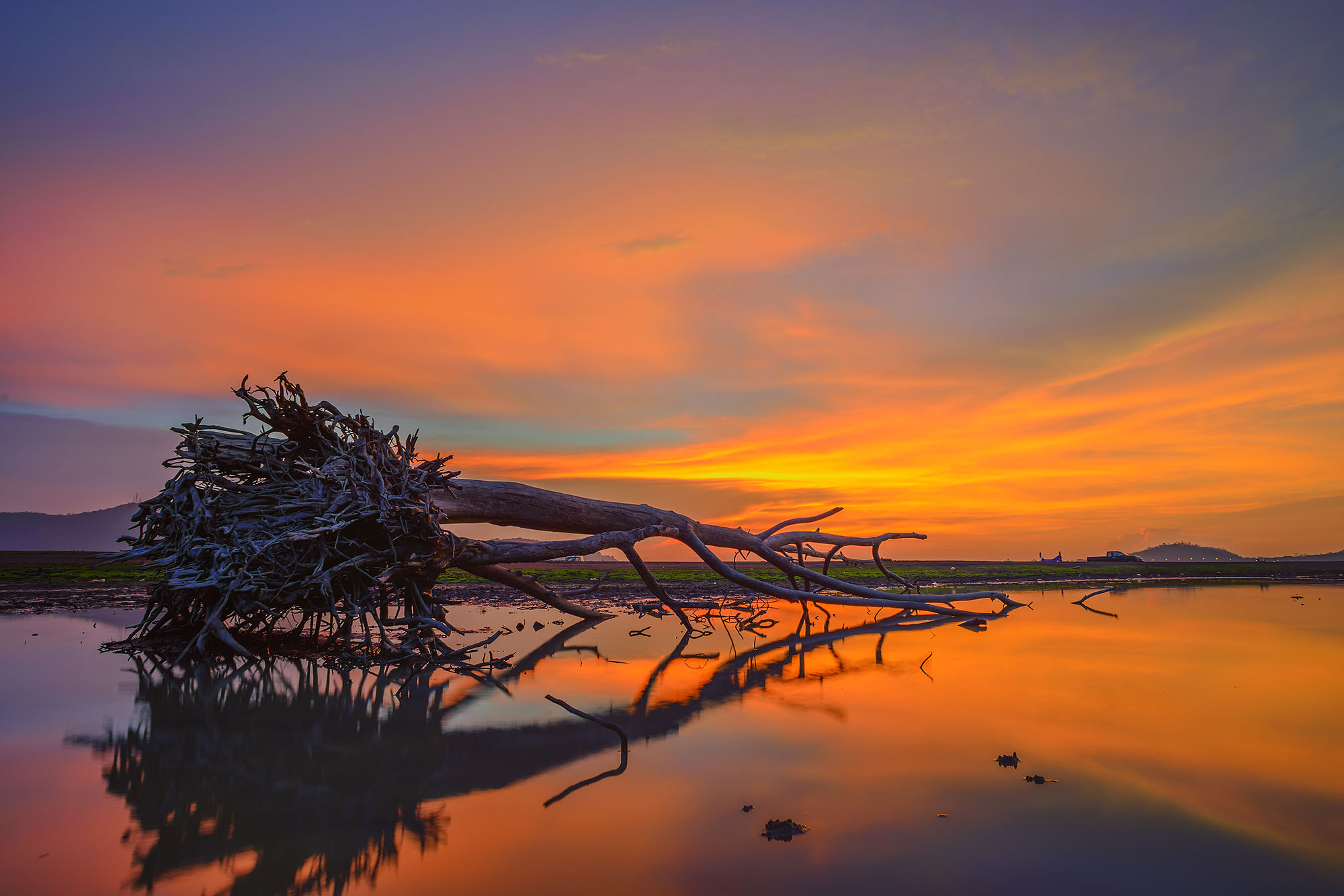 Nikon D800E + Nikon AF Nikkor 20mm F2.8D sample photo. Sunset with silhouette tree on high mountain photography