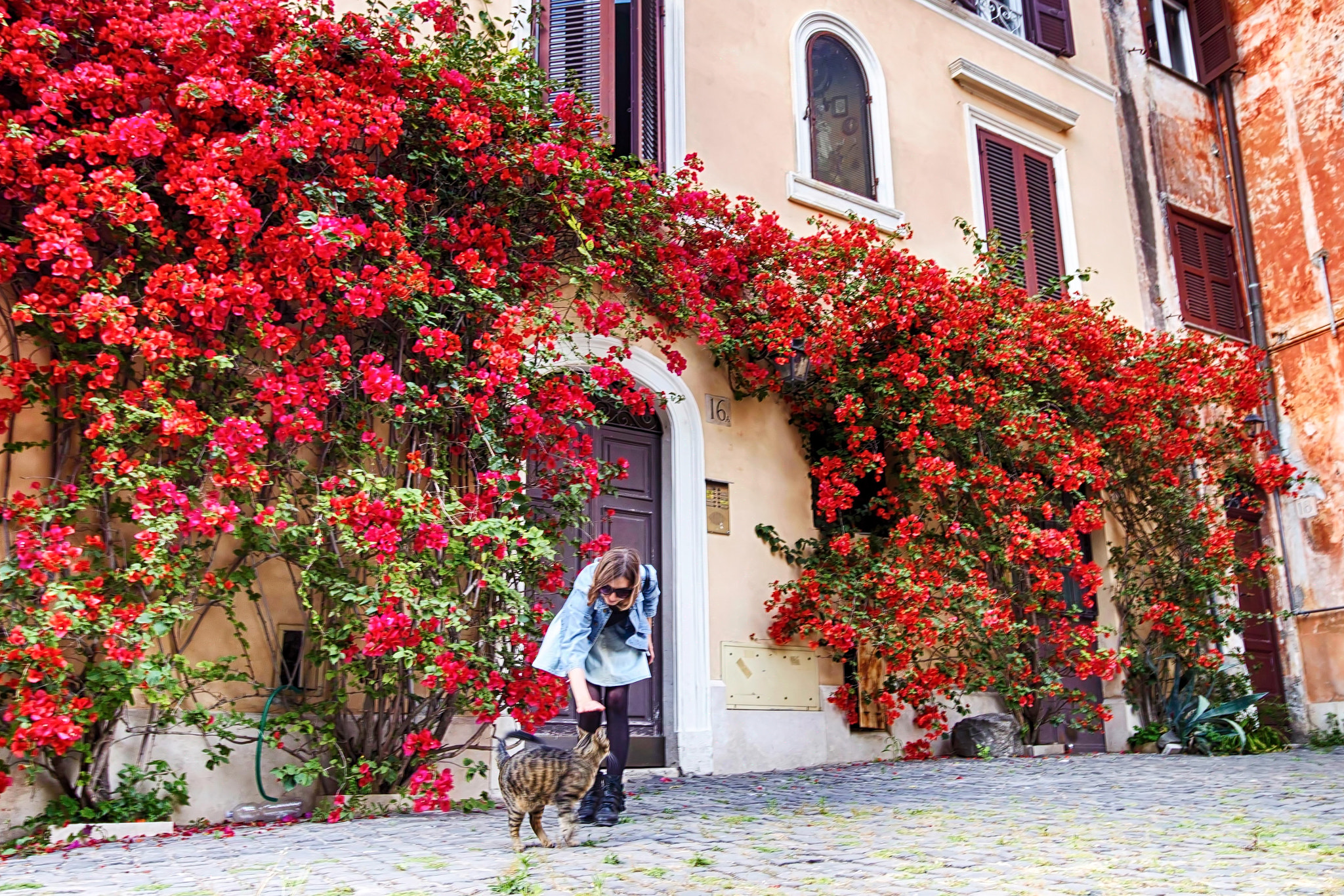 Canon EF-S 10-18mm F4.5–5.6 IS STM sample photo. Roma photography