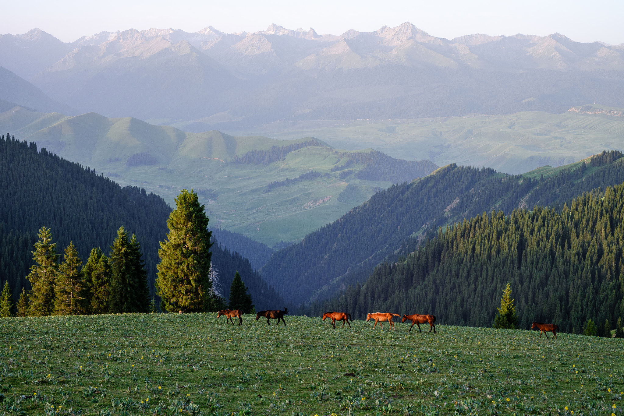 Fujifilm X-A1 sample photo. Morning at kalajun grassland photography