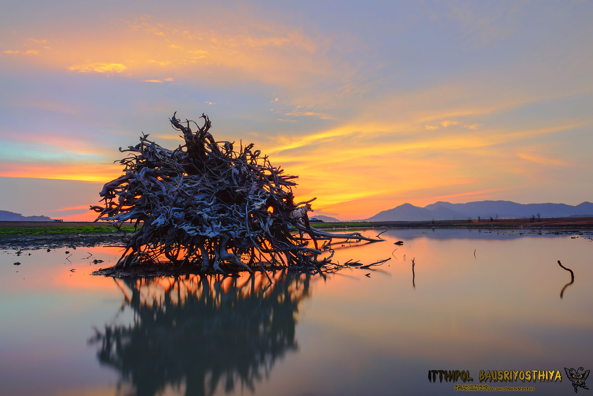 Nikon D800E + Nikon AF Nikkor 20mm F2.8D sample photo. Sunset with silhouette tree on high mountain photography