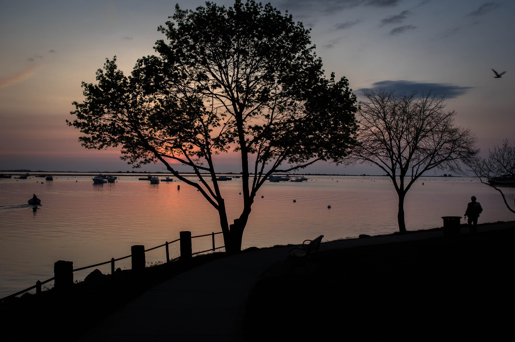 HD Pentax D FA 24-70mm F2.8 ED SDM WR sample photo. Plymouth harbor waking up photography