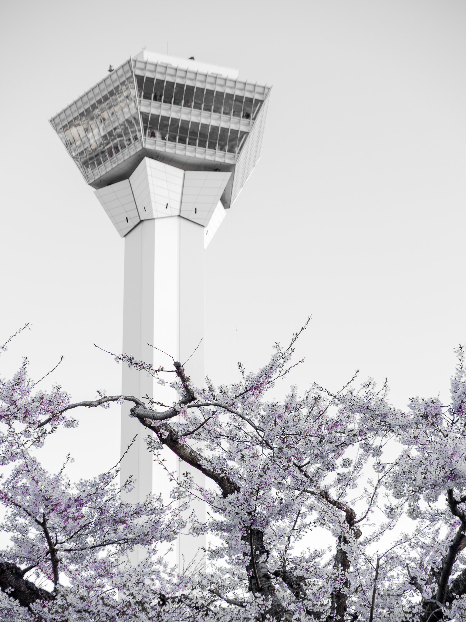 Panasonic Lumix G X Vario 35-100mm F2.8 OIS sample photo. Spring sakura photography