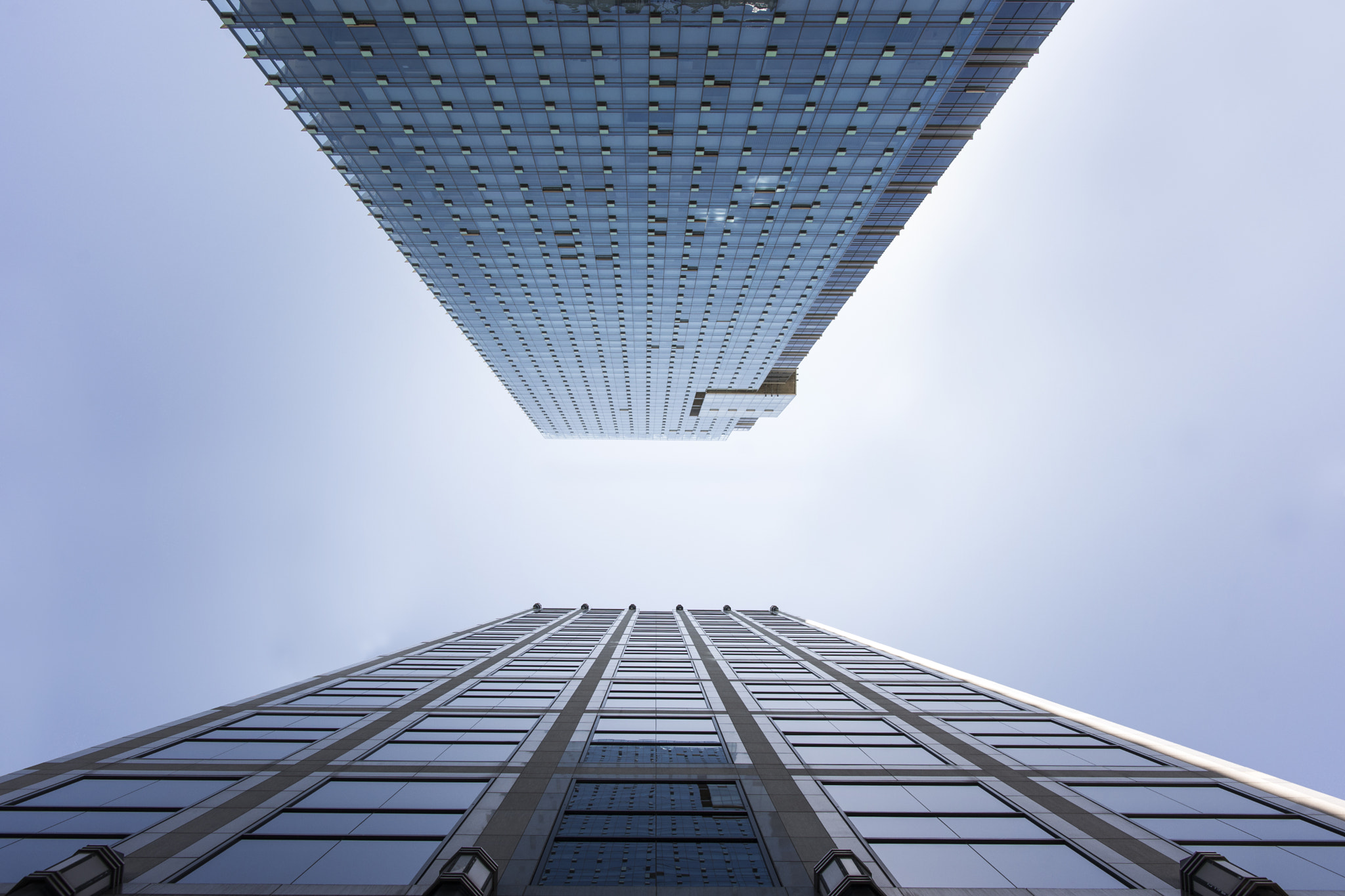 Sony Alpha DSLR-A850 sample photo. Looking up! photography