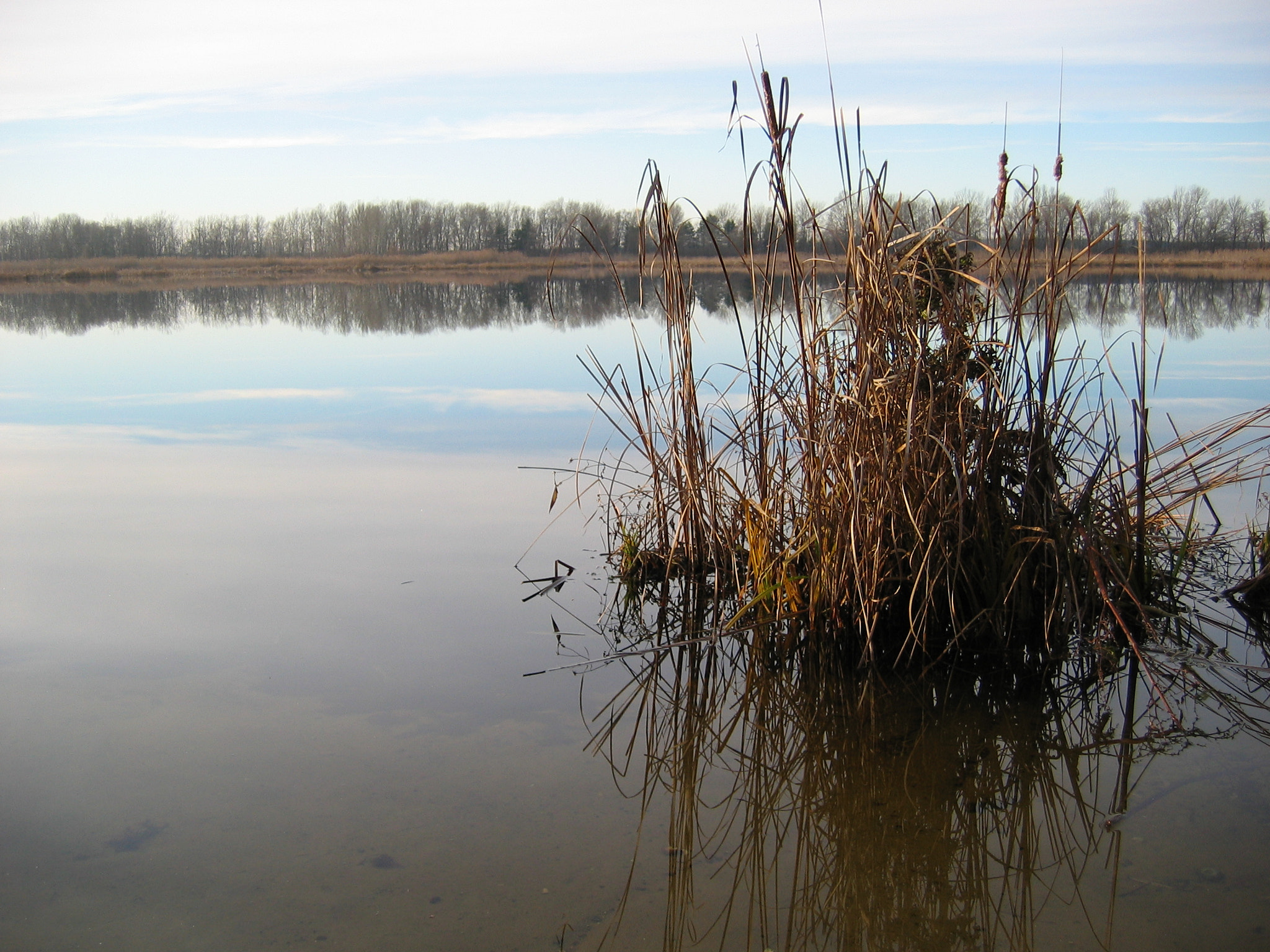 Canon POWERSHOT A80 sample photo. Autumn reflection photography