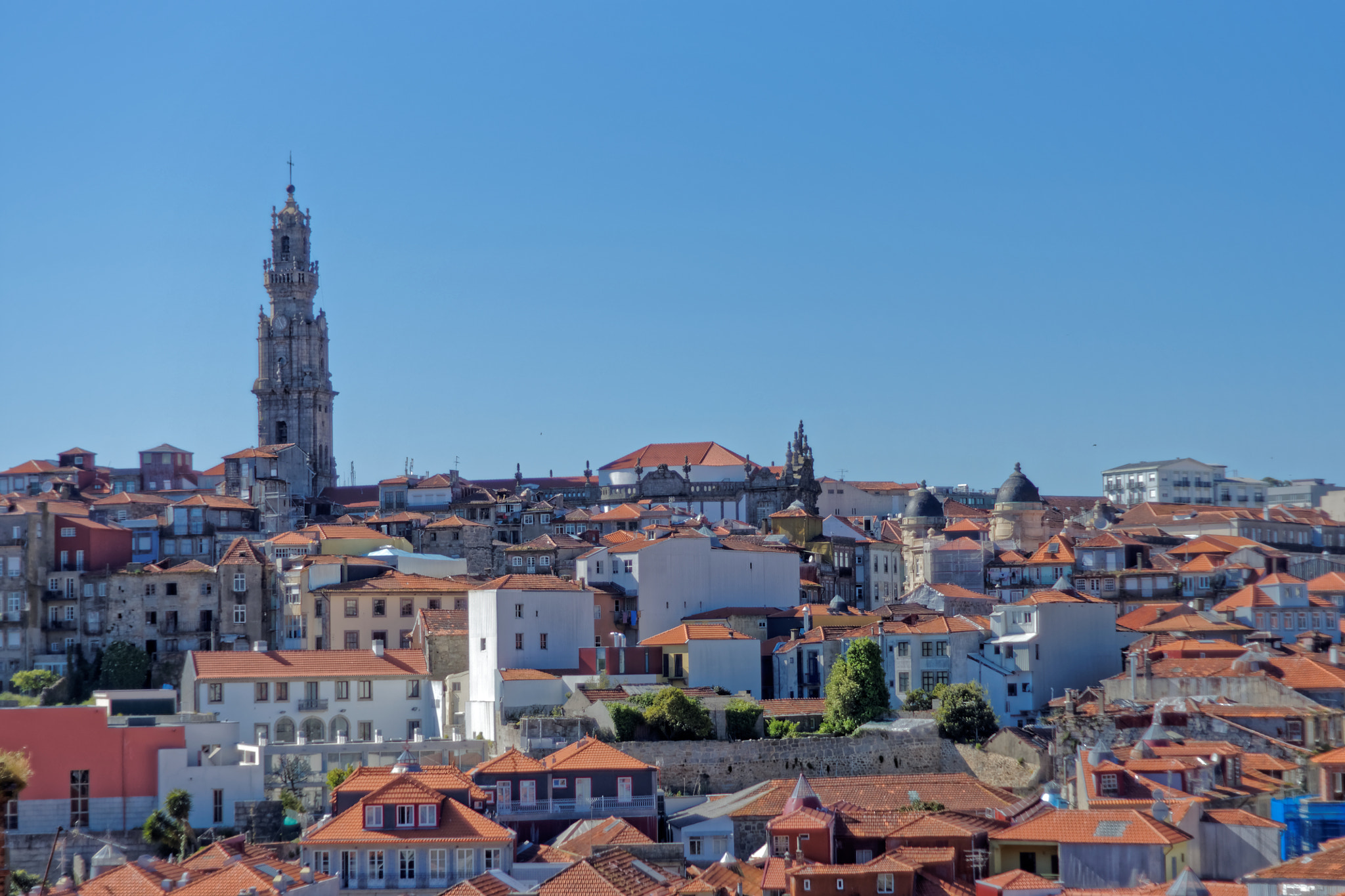 Sony Alpha DSLR-A700 + Minolta AF 50mm F1.7 New sample photo. Torre dos clérigos, landmark for sailors photography