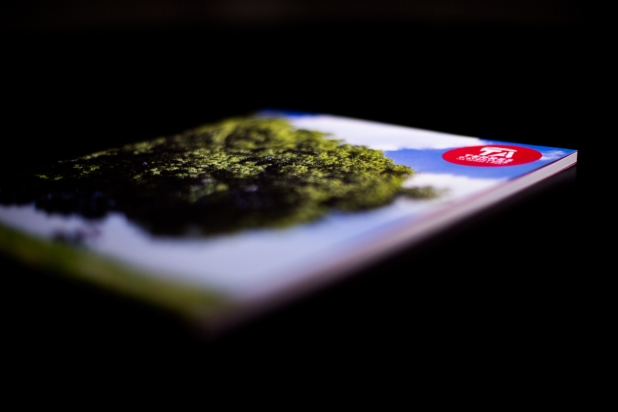 Canon EOS-1D X + Canon EF 50mm F1.4 USM sample photo. Terres d'aventure photography