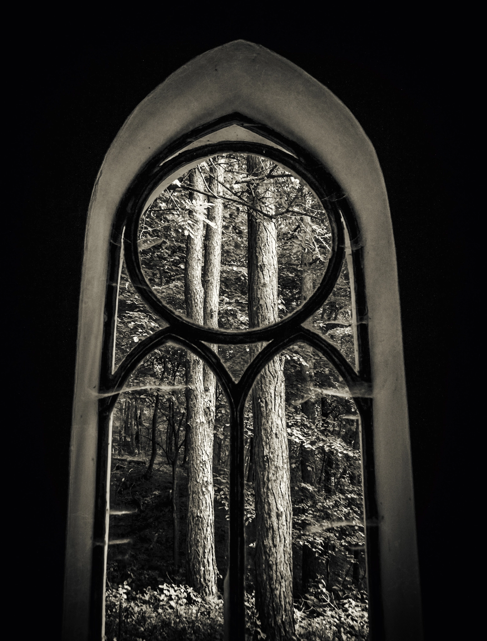 Canon EF-S 18-55mm F3.5-5.6 sample photo. My sanctuary photography
