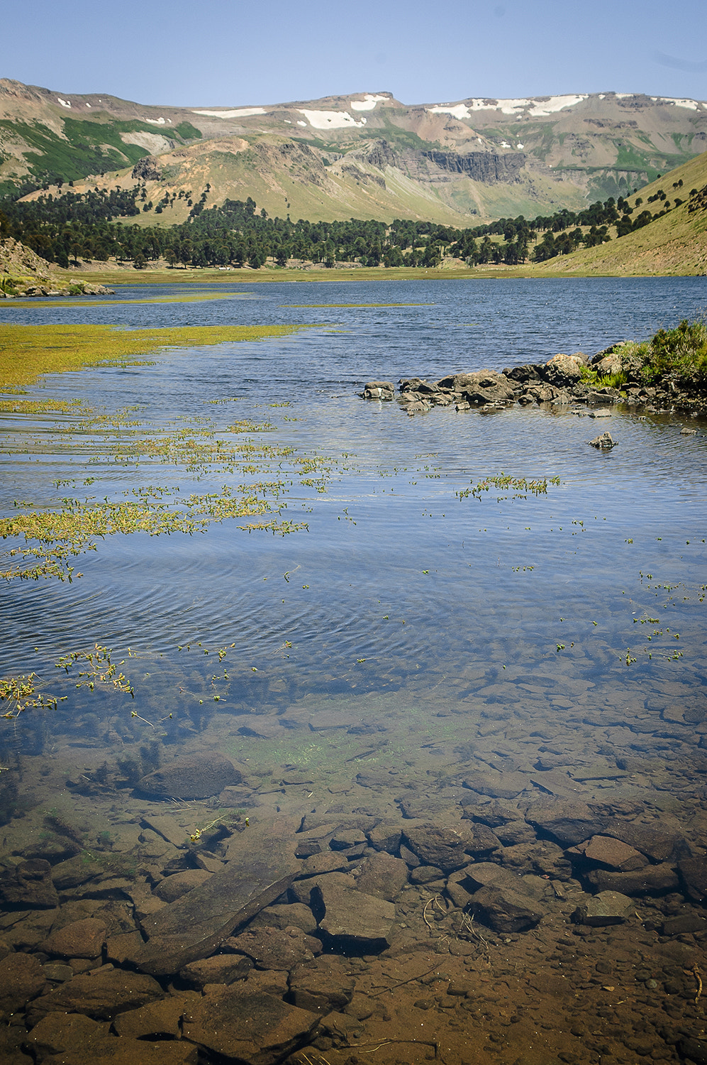 Nikon D70s sample photo. Laguna de hualcupén photography
