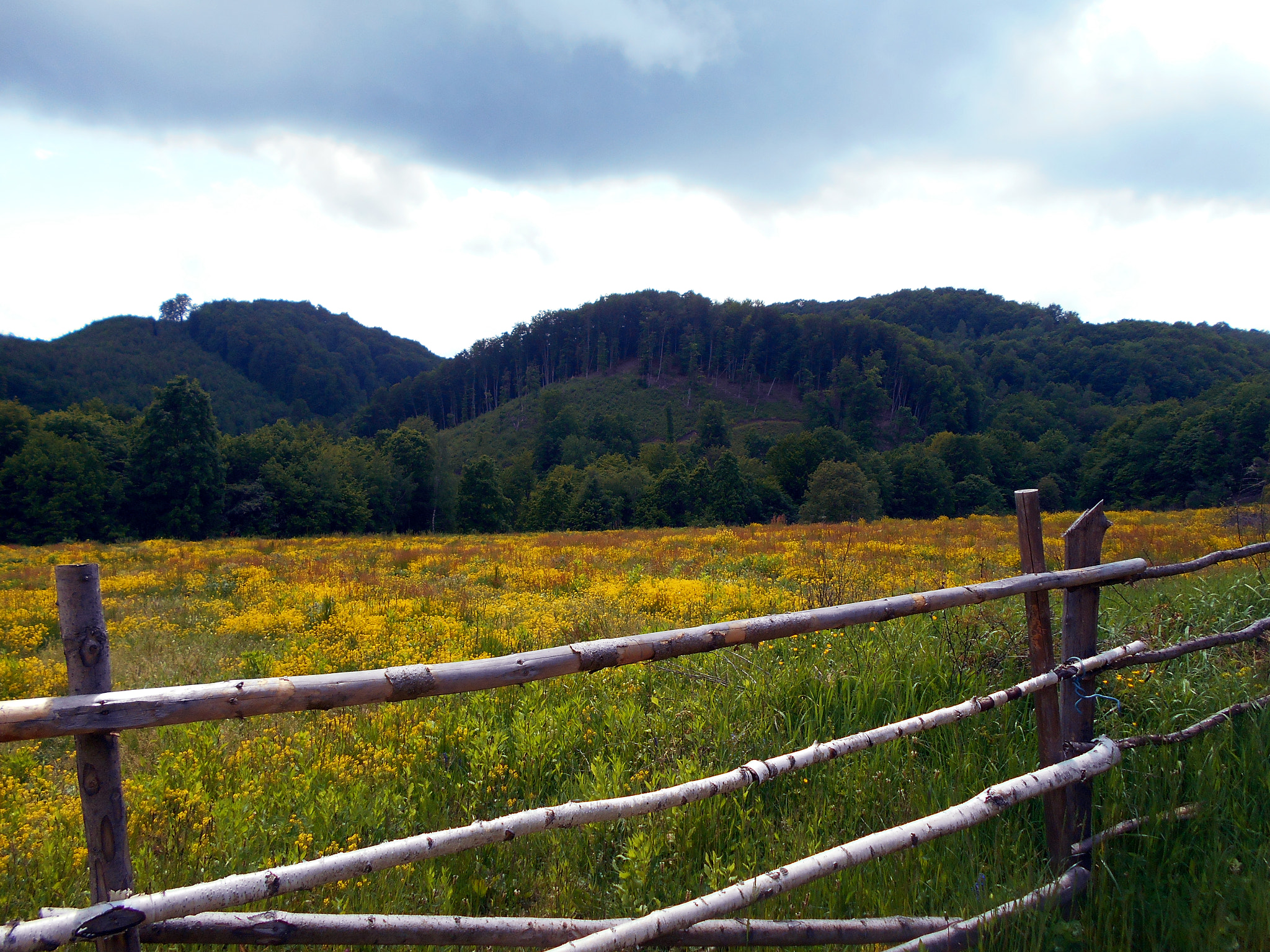 Nikon COOLPIX L30 sample photo. Pretty close to heaven photography