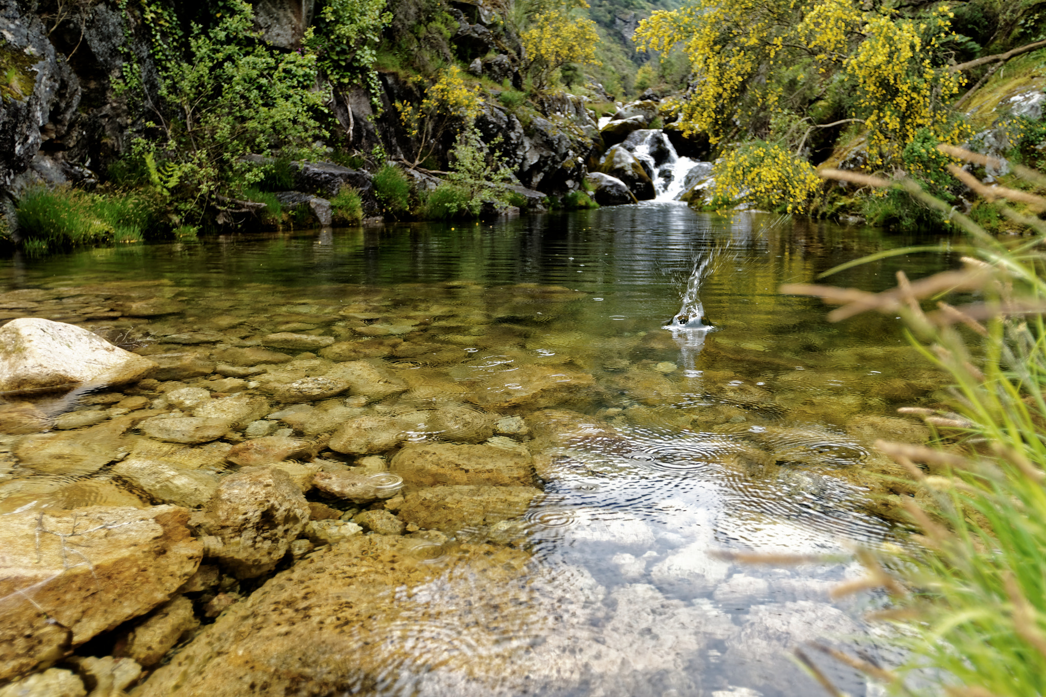 Sony Alpha DSLR-A700 + Minolta AF 17-35mm F2.8-4 (D) sample photo. Deep water photography