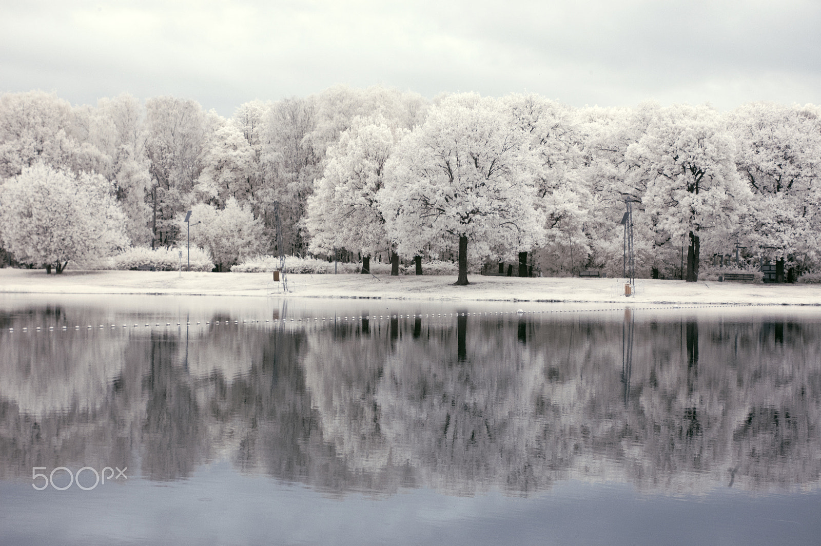 Nikon D70s sample photo. Infrared landscape. white trees photography