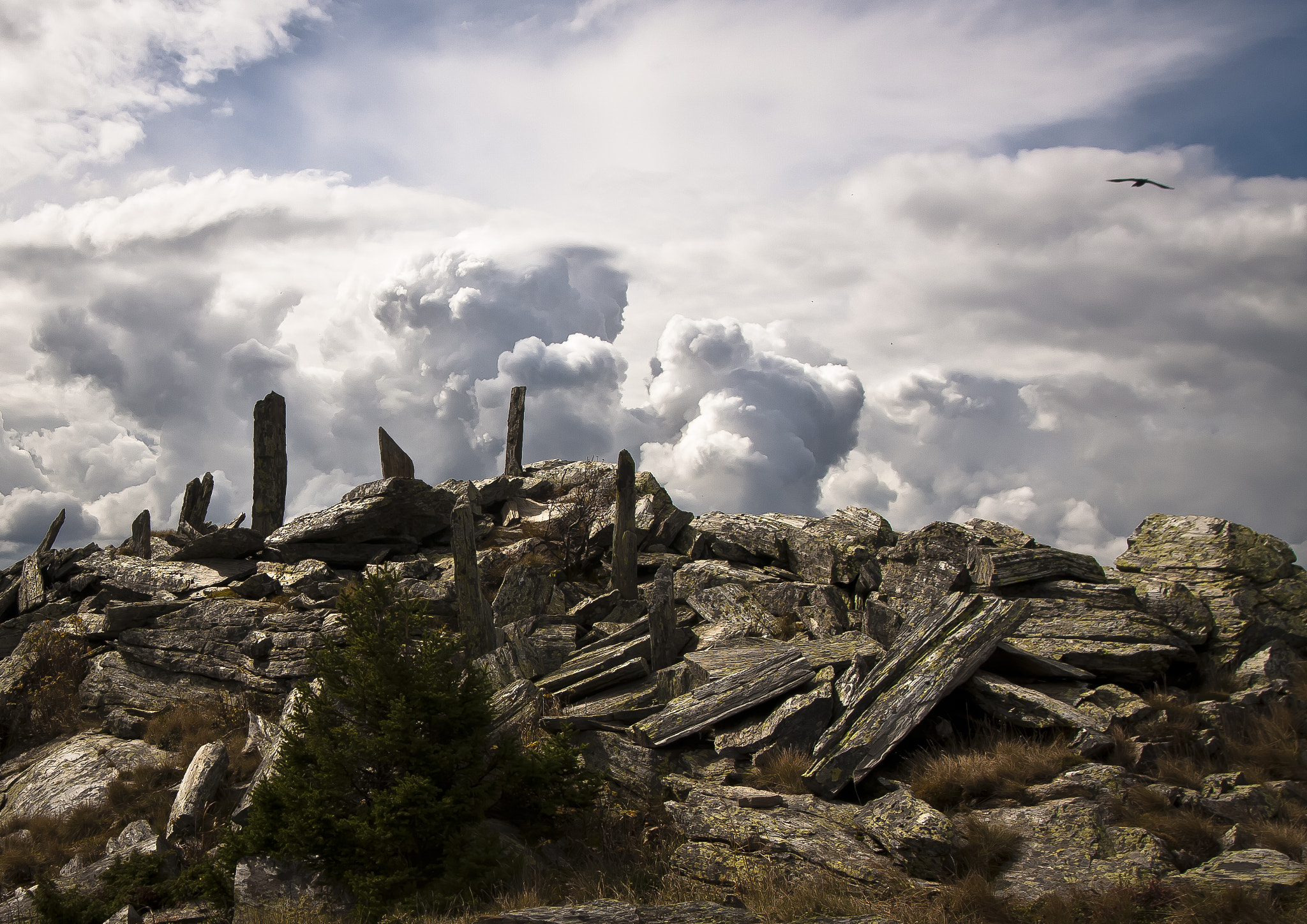 Canon EOS 40D + Sigma 20mm EX f/1.8 sample photo. The earth's bones photography