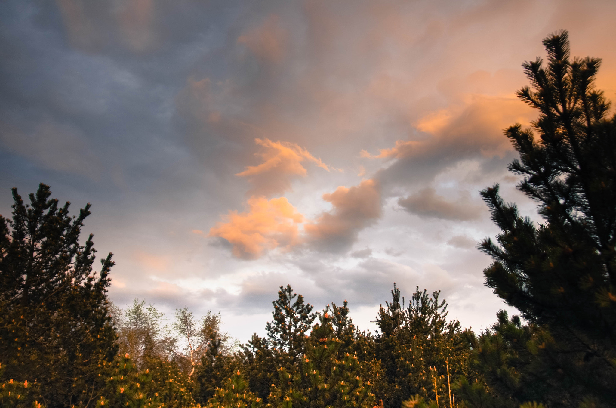 Sigma AF 10-20mm F4-5.6 EX DC sample photo. Sunset photography