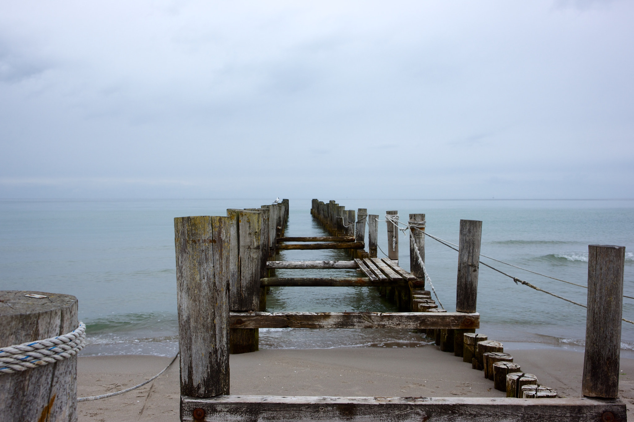 Sony Alpha DSLR-A850 sample photo. Ostseestrand bei zingst photography