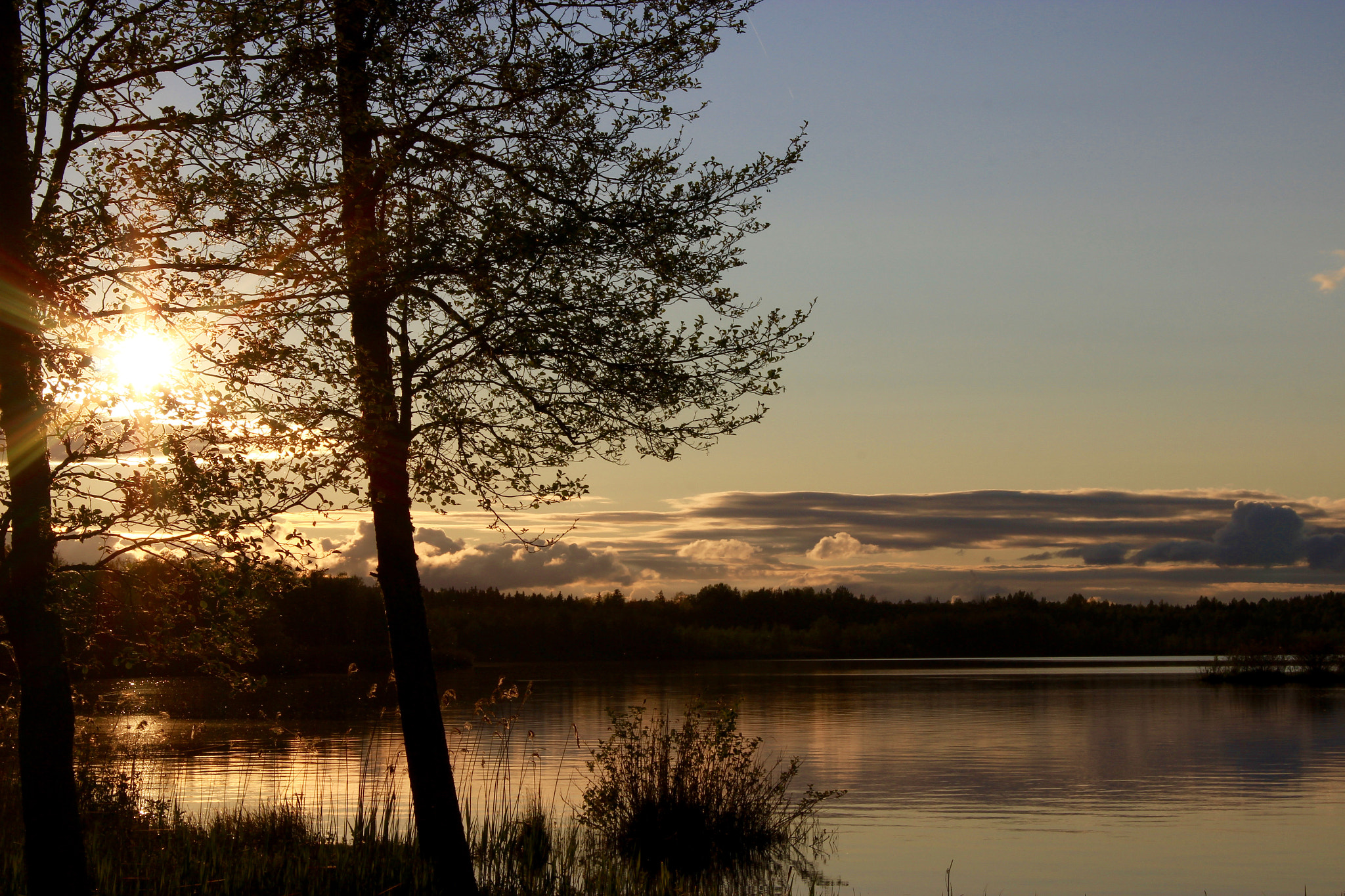 Canon EF-S 18-55mm F3.5-5.6 III sample photo. Late evening by the lake photography