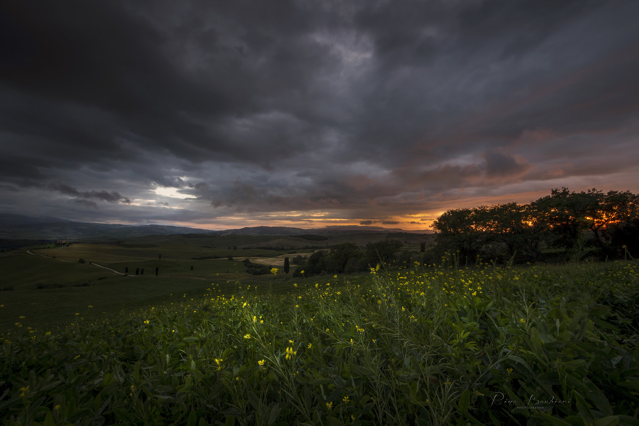 Sigma 8-16mm F4.5-5.6 DC HSM sample photo. It's time to go home photography