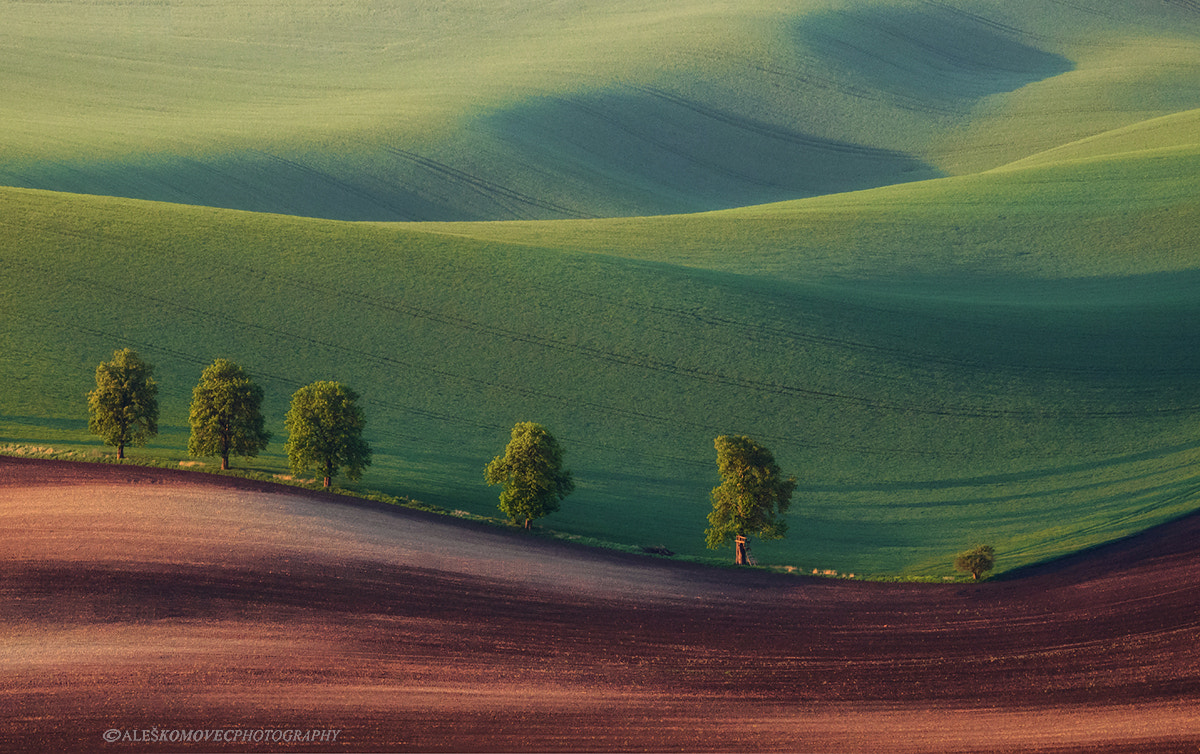 SIGMA 50-500mm F4-6.3 DG HSM sample photo. Morning peacefulness photography