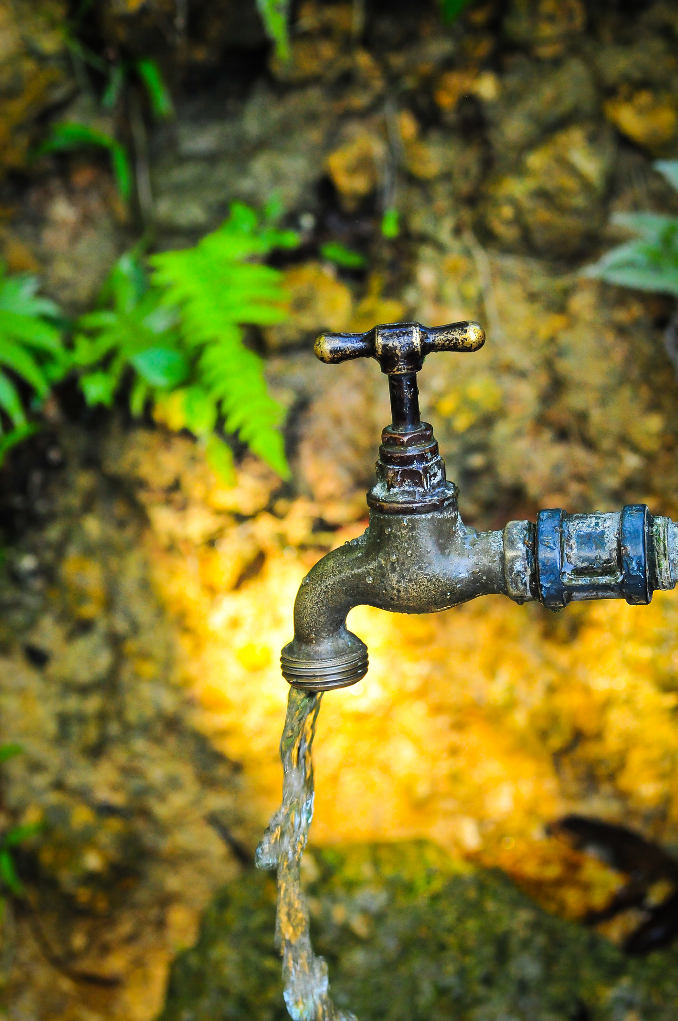 AF Zoom-Nikkor 28-80mm f/3.3-5.6G sample photo. Stand pipe photography