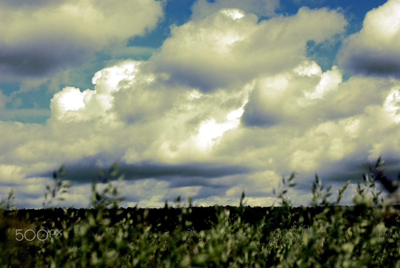 AF Zoom-Nikkor 28-105mm f/3.5-4.5D IF sample photo. Summer clouds photography