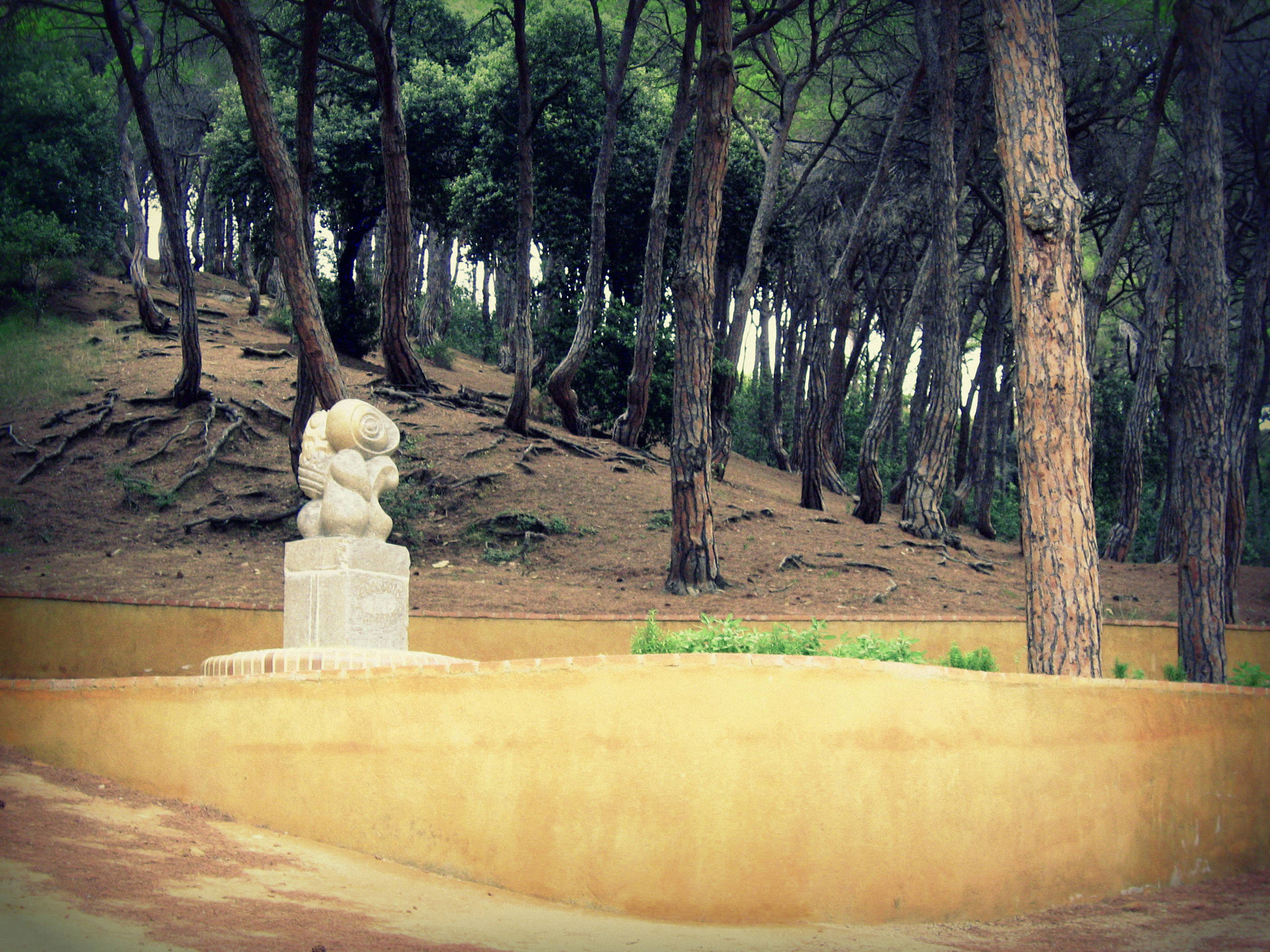 Canon DIGITAL IXUS 800 IS sample photo. Park. calella. spain photography