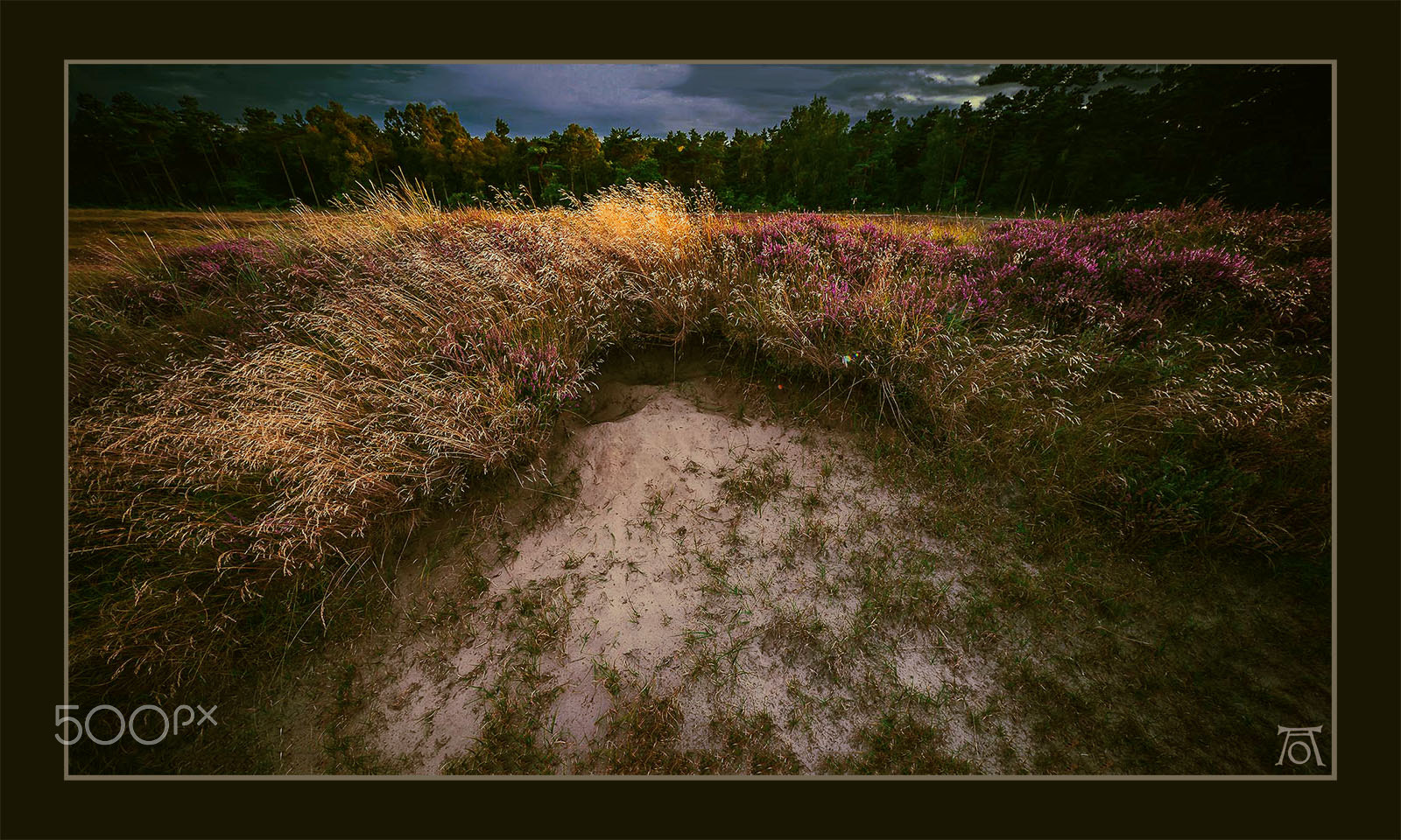 Panasonic Lumix DMC-GH2 + Panasonic Lumix G Vario 7-14mm F4 ASPH sample photo. Heath in grenaa, dk photography