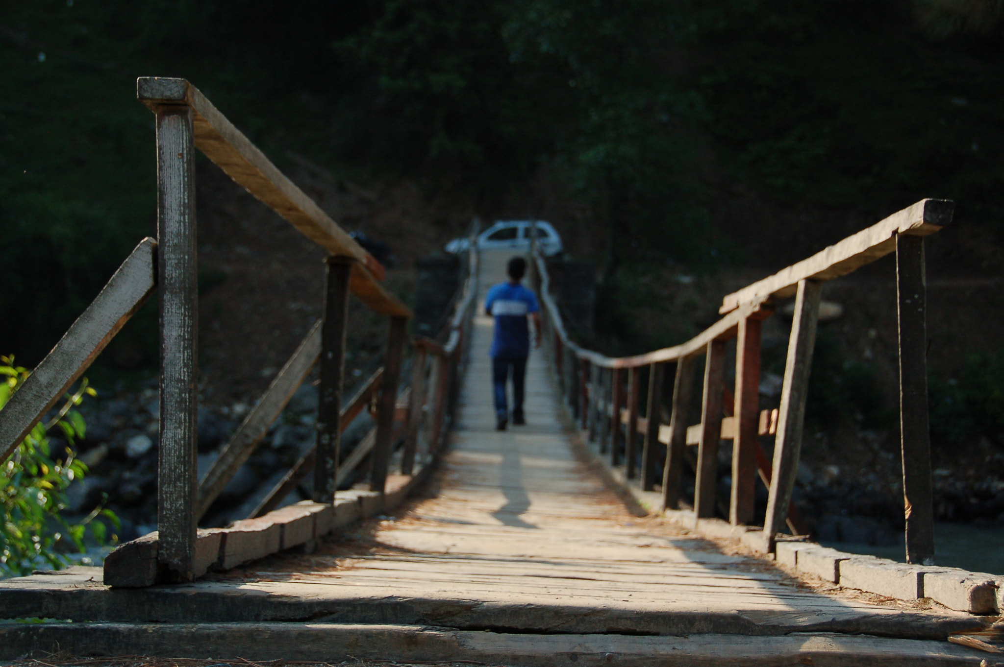 Nikon D50 sample photo. Bridge view photography
