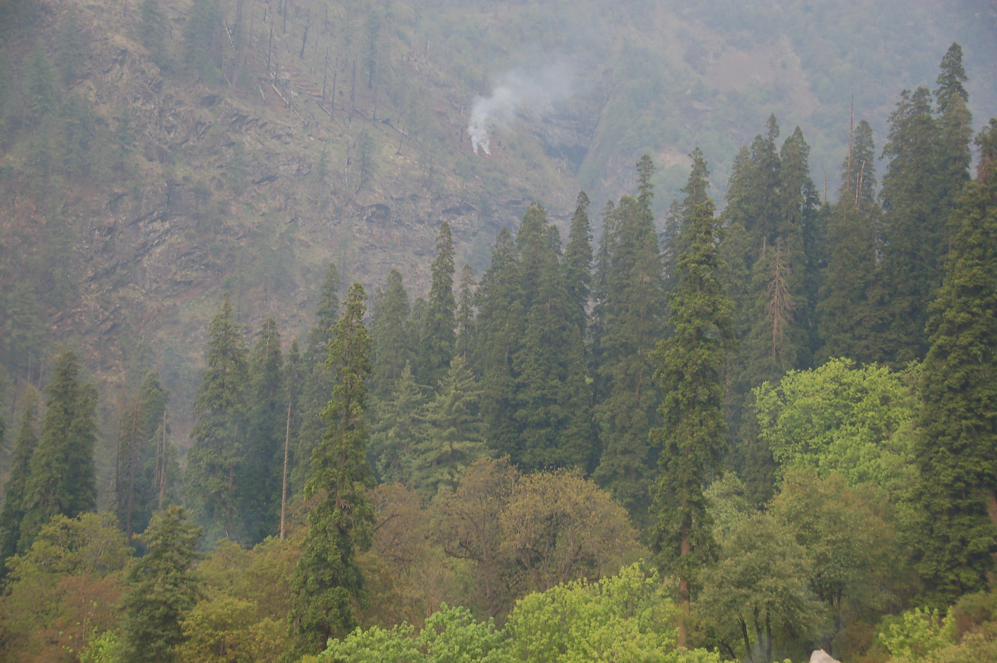 Nikon D50 sample photo. View from kheer ganga photography