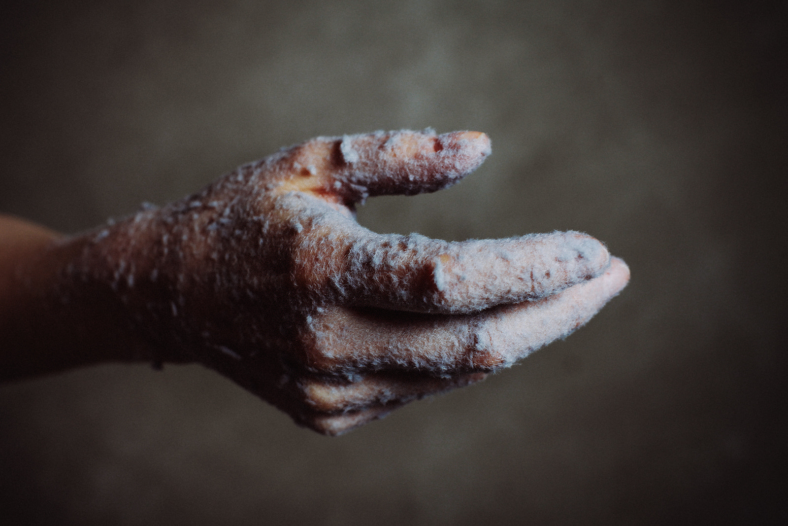ZEISS Planar T* 50mm F1.4 sample photo. Hand photography