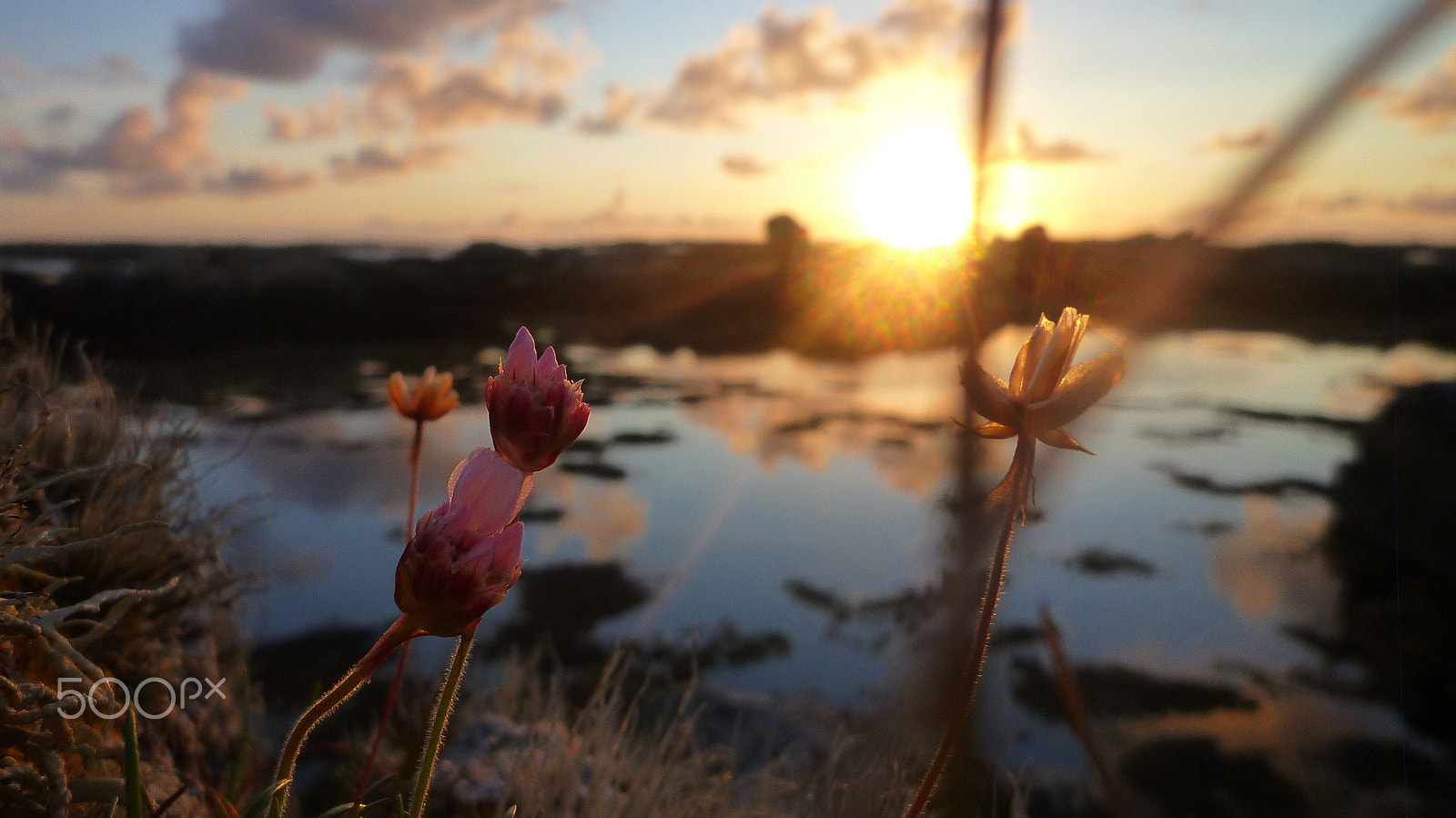 Panasonic DMC-FX60 sample photo. Der sonne entgegen photography