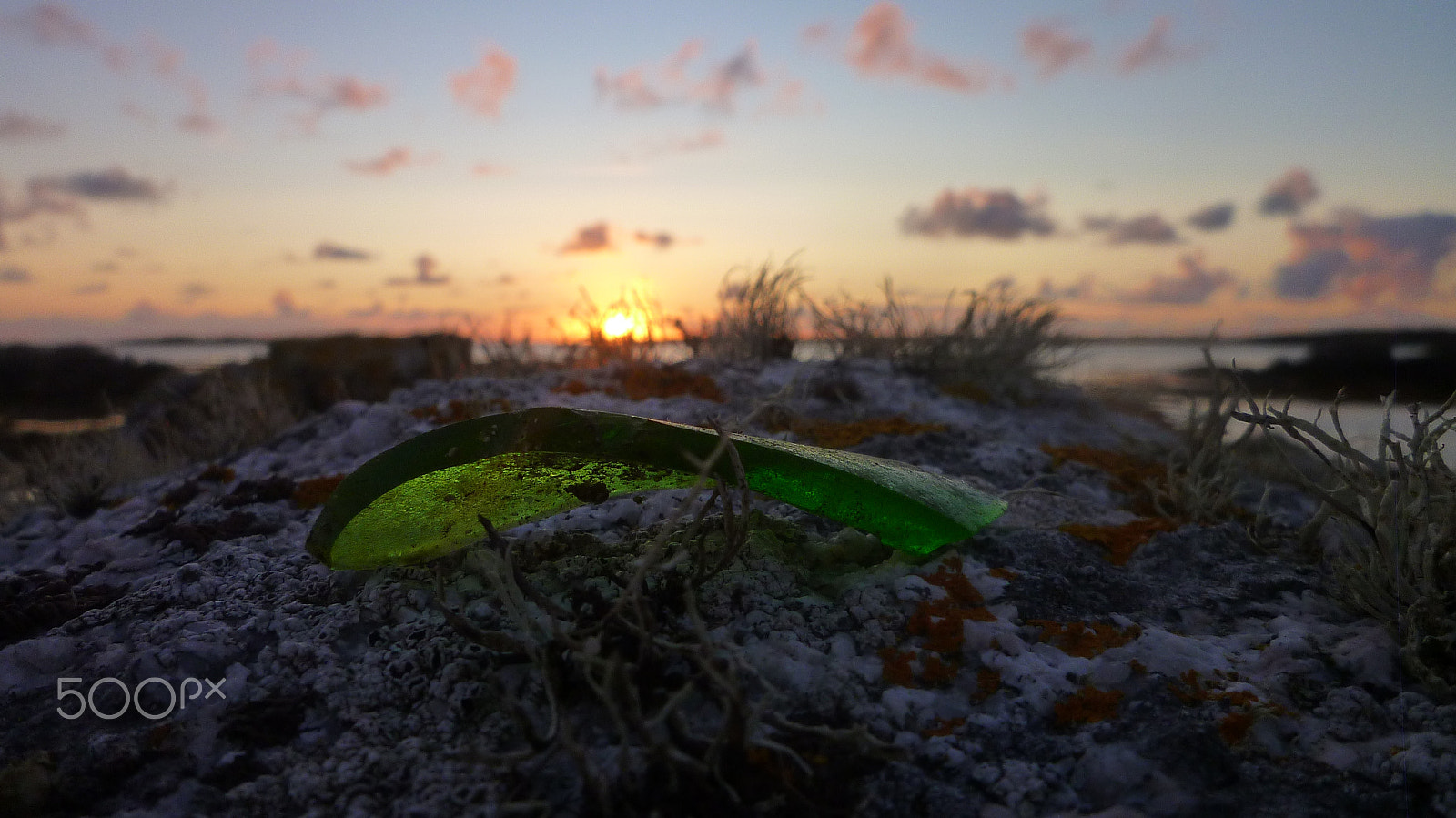 Panasonic DMC-FX60 sample photo. Sunset in the bottle photography