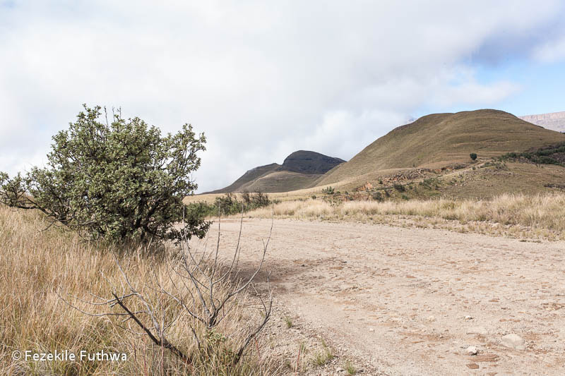 Canon EOS 5D + Canon EF 40mm F2.8 STM sample photo. Witsieshoek photography