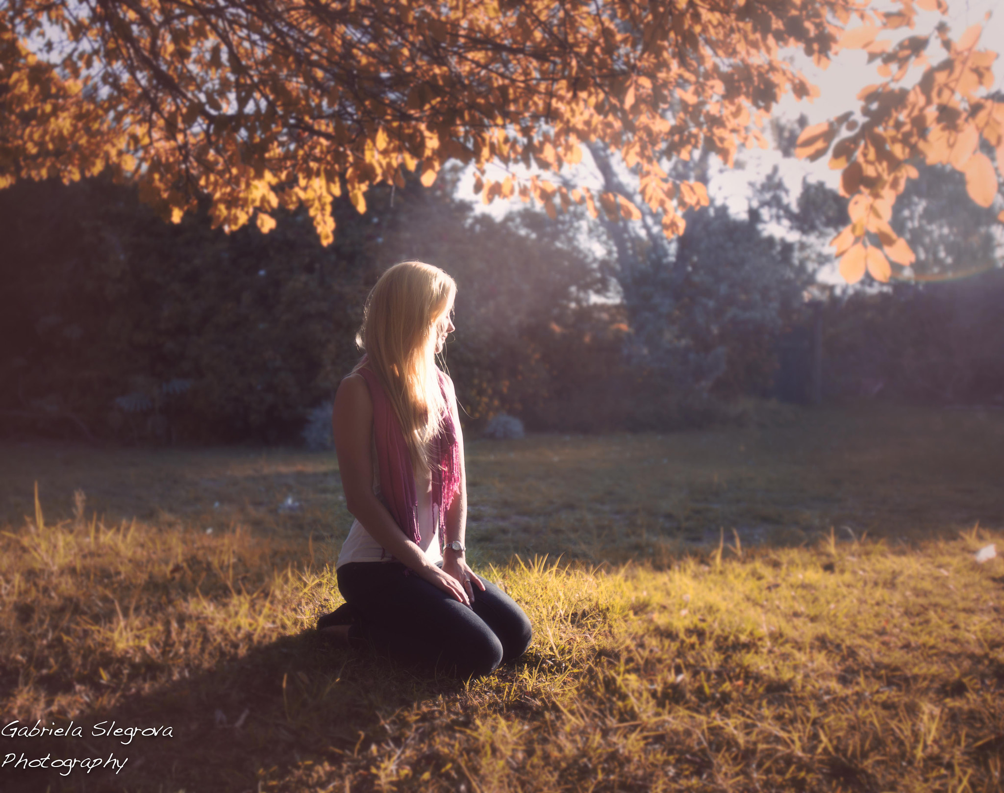 Canon EOS 6D + Canon EF 16-35mm F2.8L USM sample photo. Autumn in my garden photography