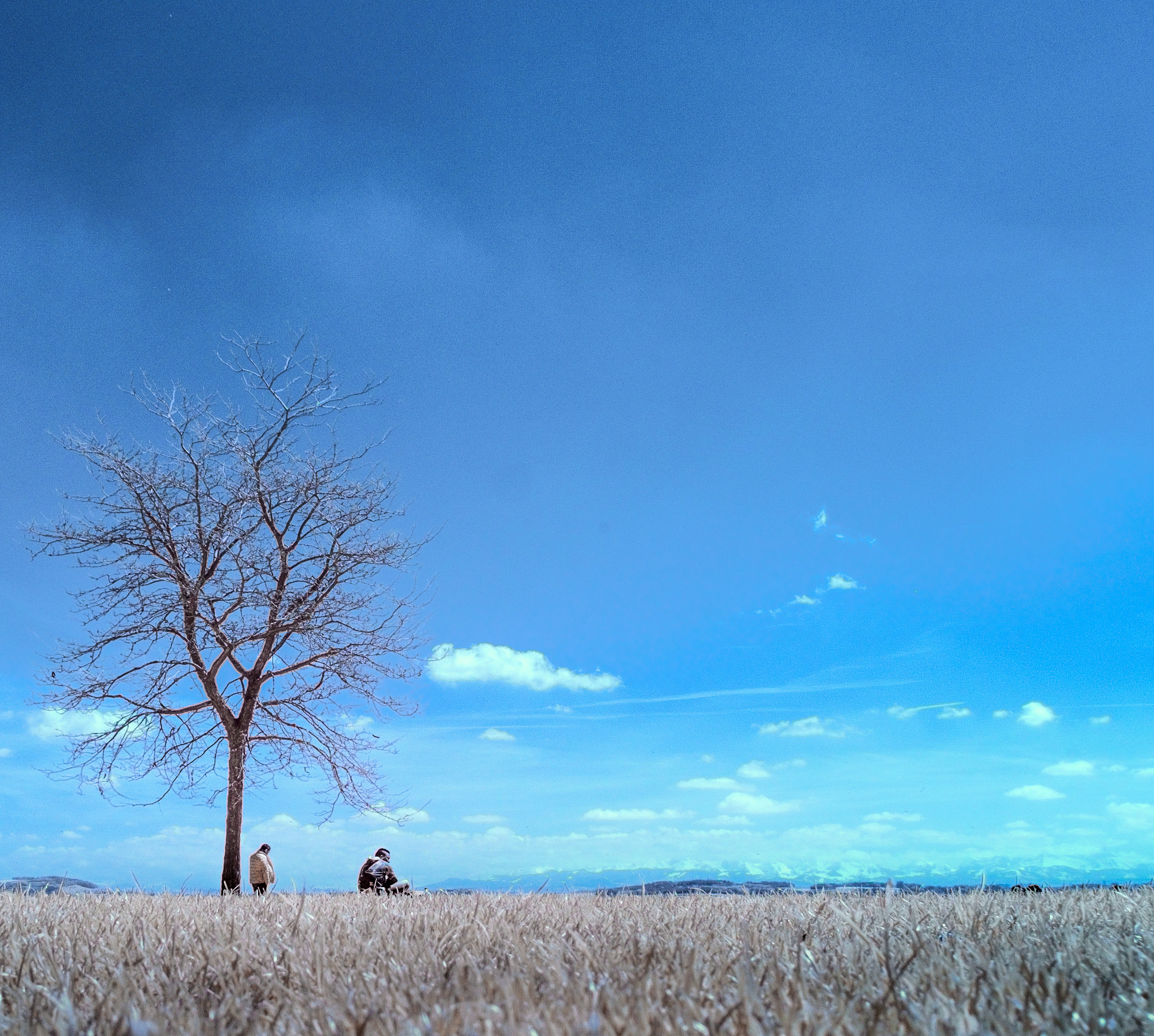 Fujifilm X-E1 + Fujifilm XF 18-135mm F3.5-5.6 R LM OIS WR sample photo. ...leafstrike... photography