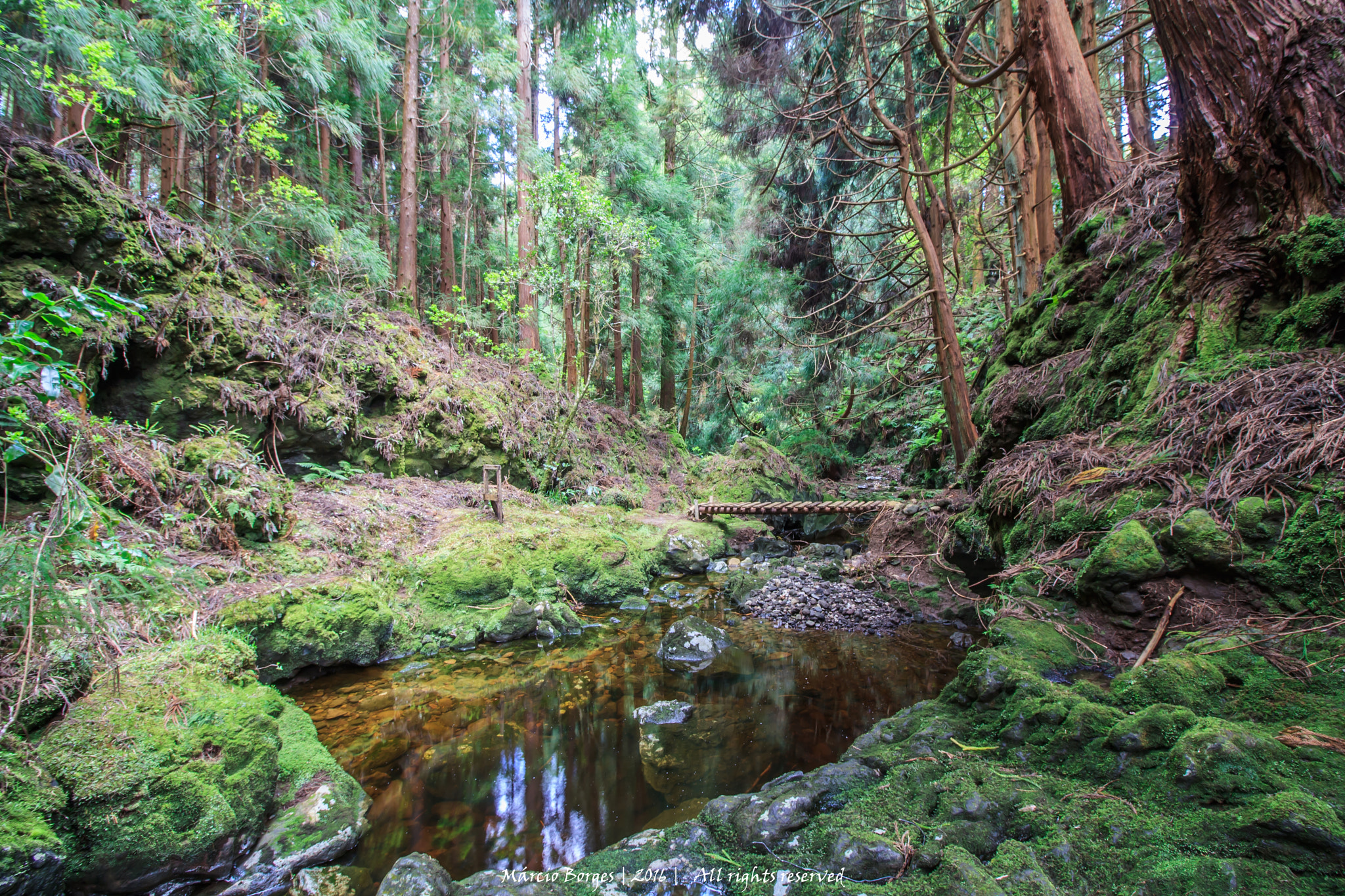 Canon EF-S 10-18mm F4.5–5.6 IS STM sample photo. Dreamland photography