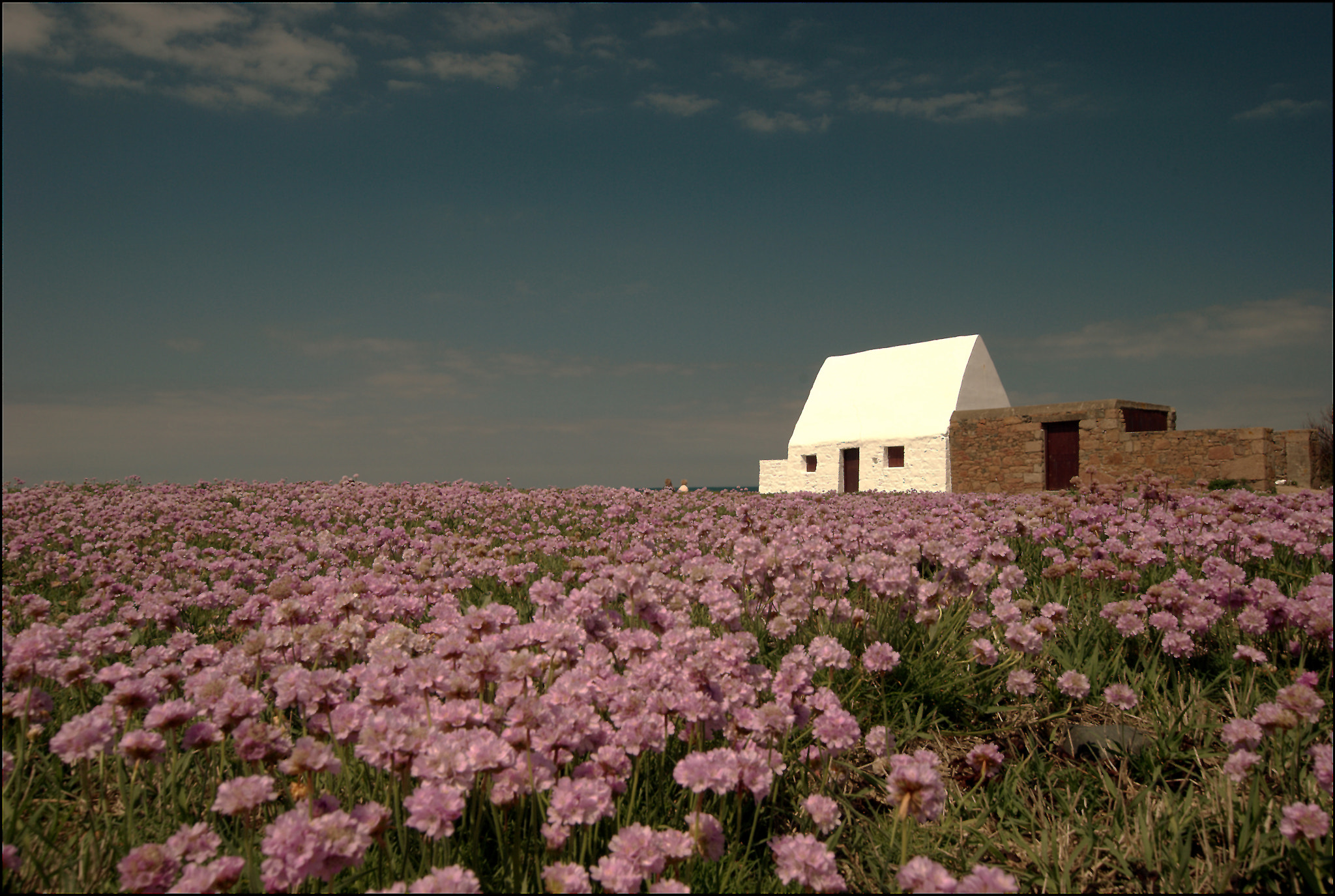 Nikon D80 + Sigma 10-20mm F3.5 EX DC HSM sample photo. Spring in the air photography