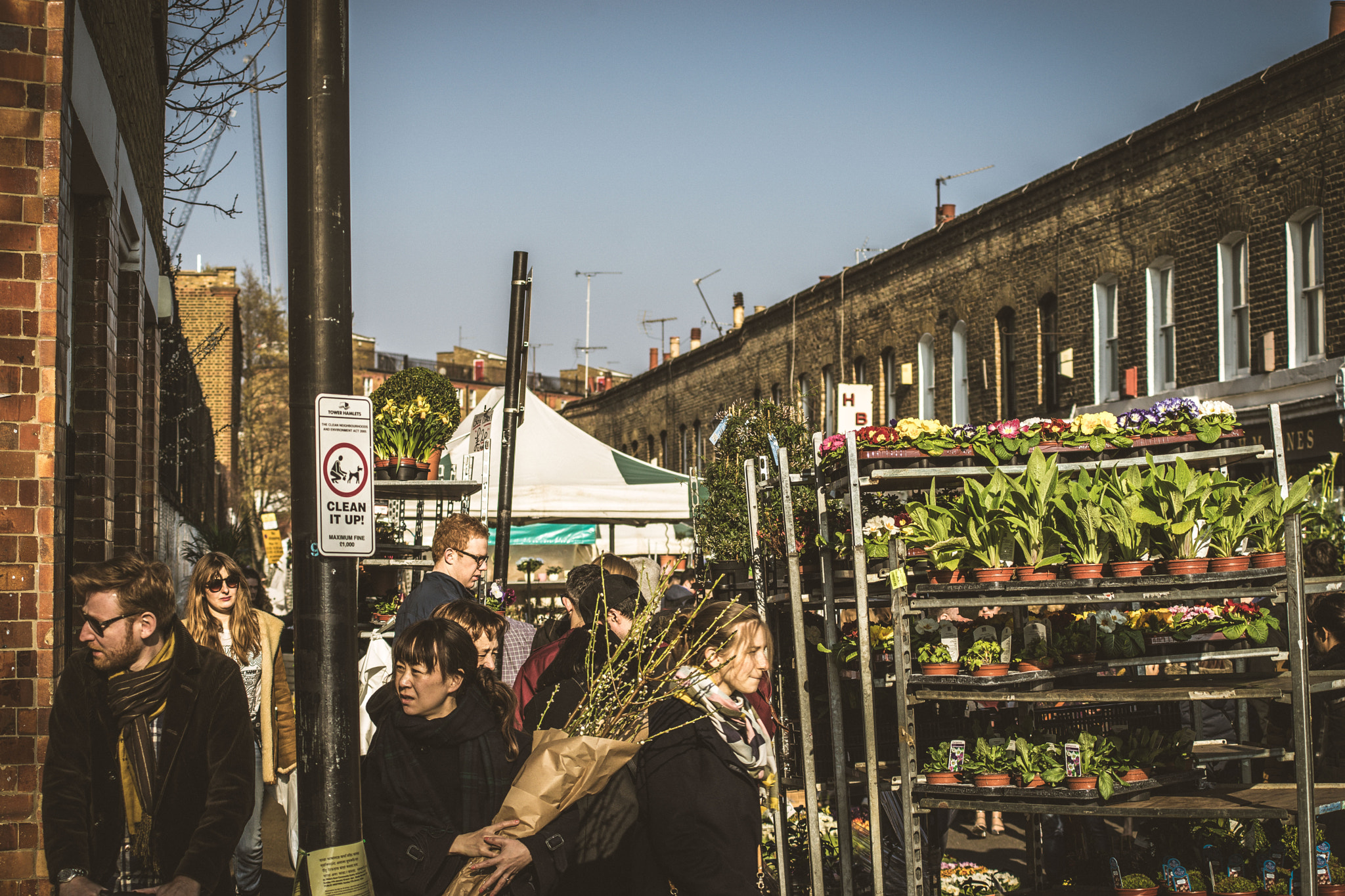 Sony a7 + Minolta AF 70-210mm F4 Macro sample photo. Columbia road flower market photography