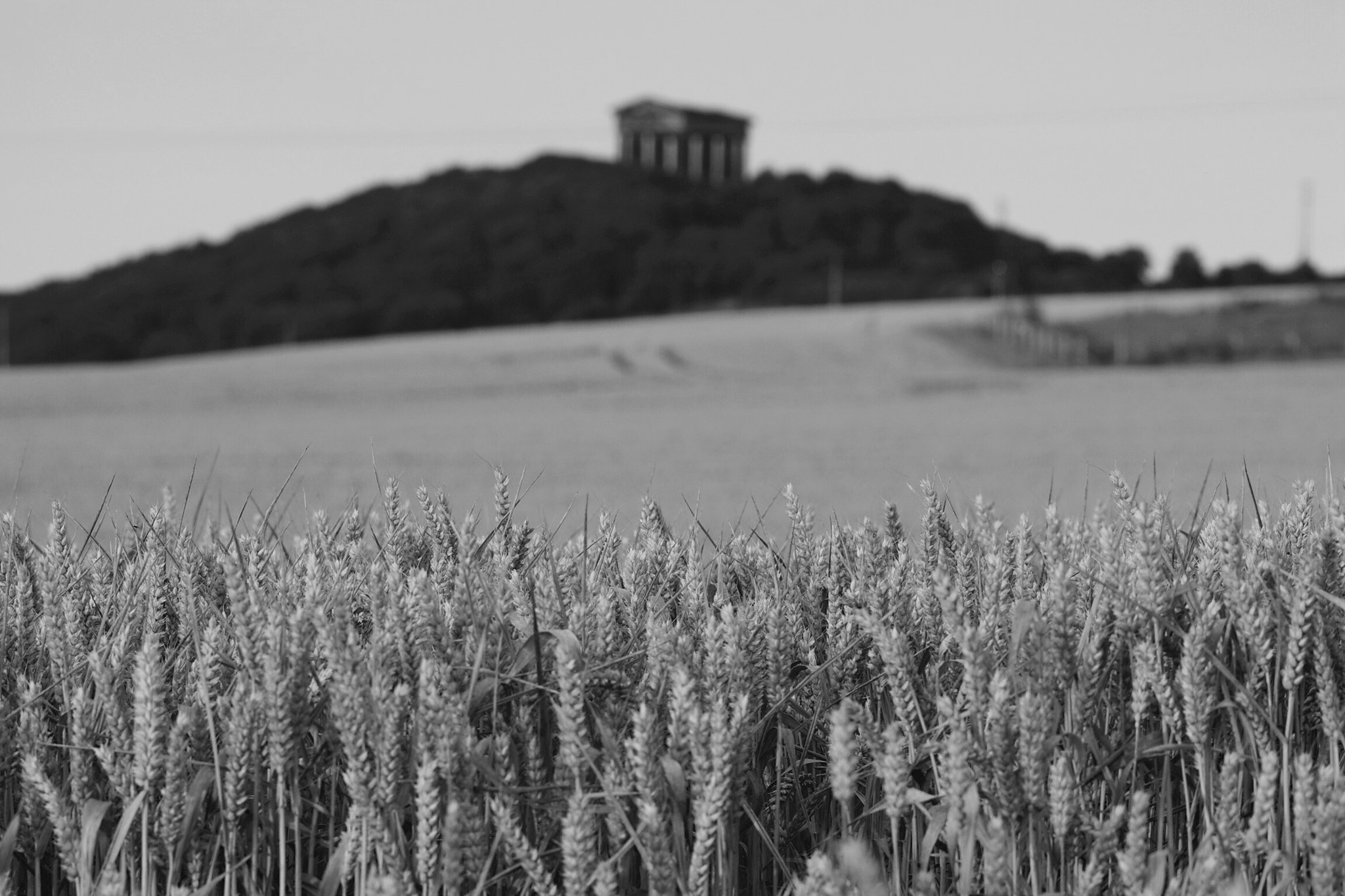 Canon EOS 1100D (EOS Rebel T3 / EOS Kiss X50) + Canon EF 100mm F2.8 Macro USM sample photo. Top of the hill, penshaw monument, north east england photography