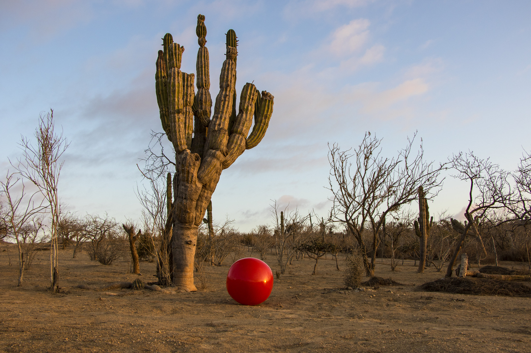 Canon EF-S 18-135mm F3.5-5.6 IS STM sample photo. Playa los cerritos, baja california sur photography