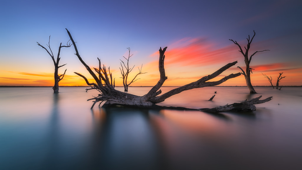 Bonney Brushed by Dylan Toh & Marianne Lim on 500px.com