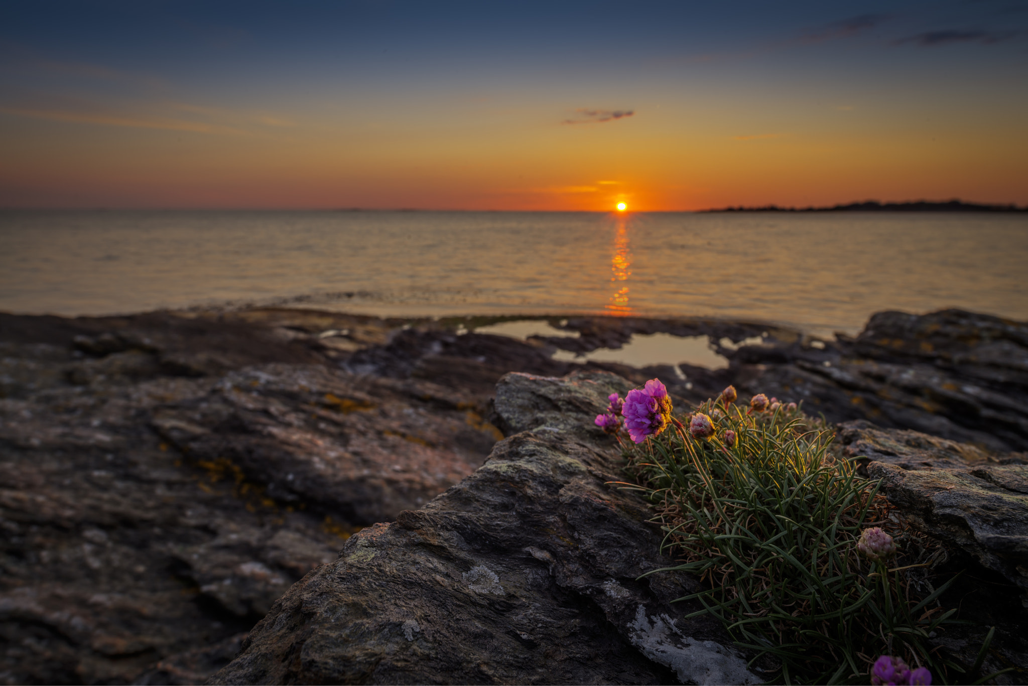 Nikon D800 + Nikon PC-E Nikkor 24mm F3.5D ED Tilt-Shift sample photo. Night comes photography