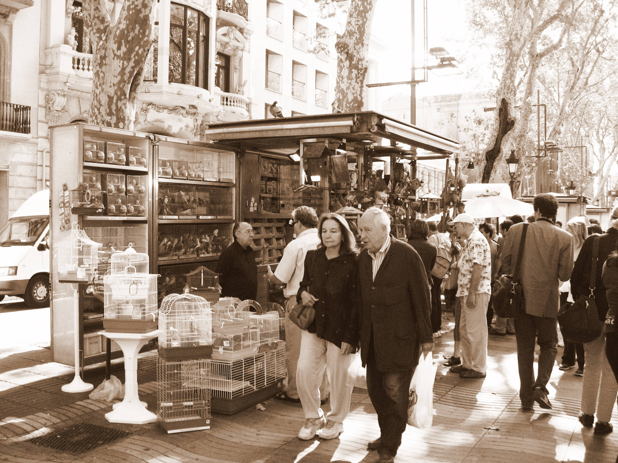 Canon DIGITAL IXUS 800 IS sample photo. People. birds. barcelona photography