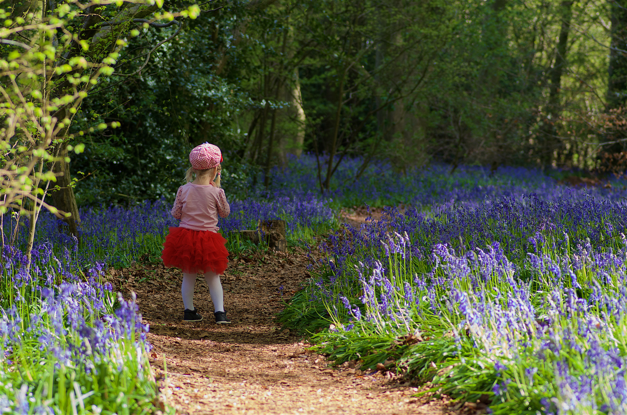Pentax smc D-FA 100mm F2.8 Macro WR sample photo. Little fairy photography