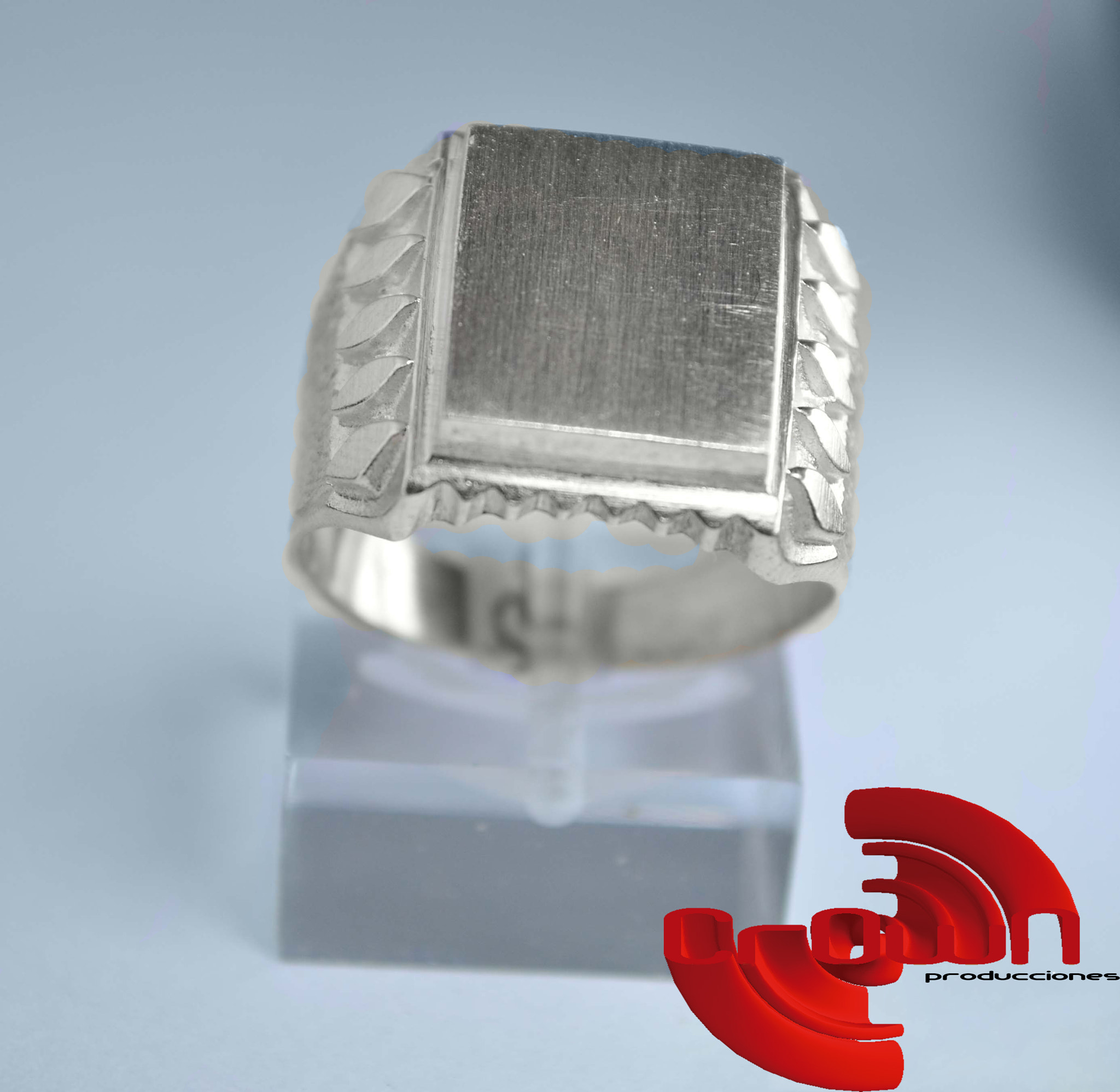Nikon AF-S Nikkor 24-70mm F2.8G ED sample photo. Anillo plata sellologo photography